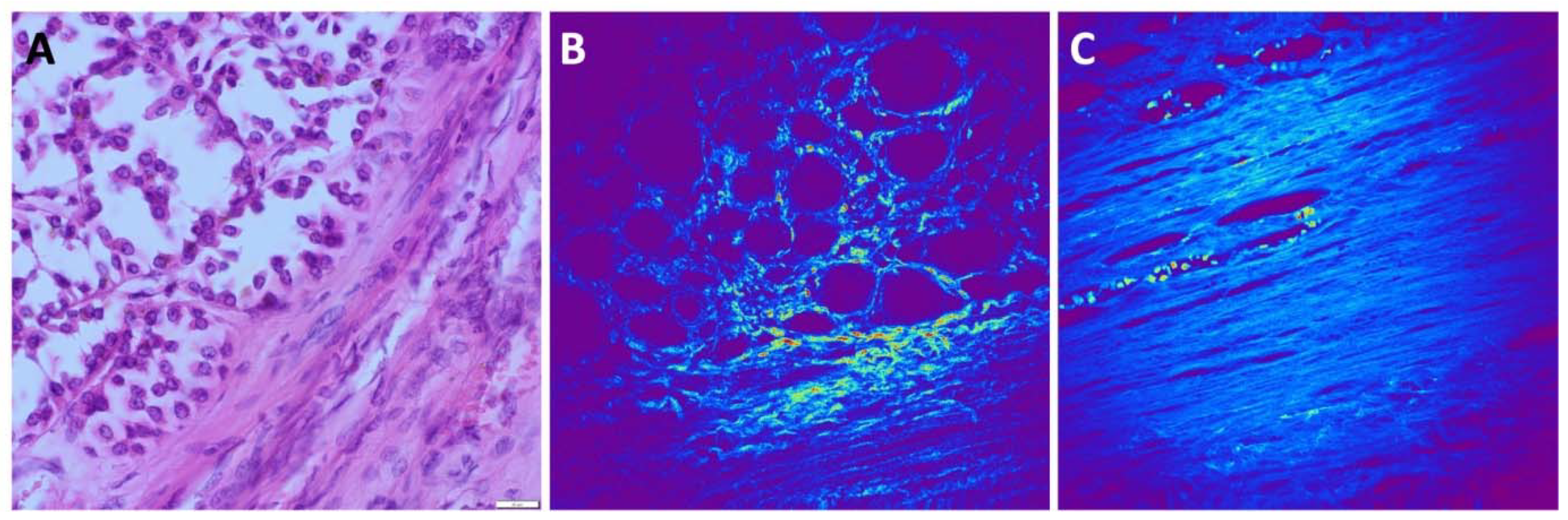 Preprints 88937 g006