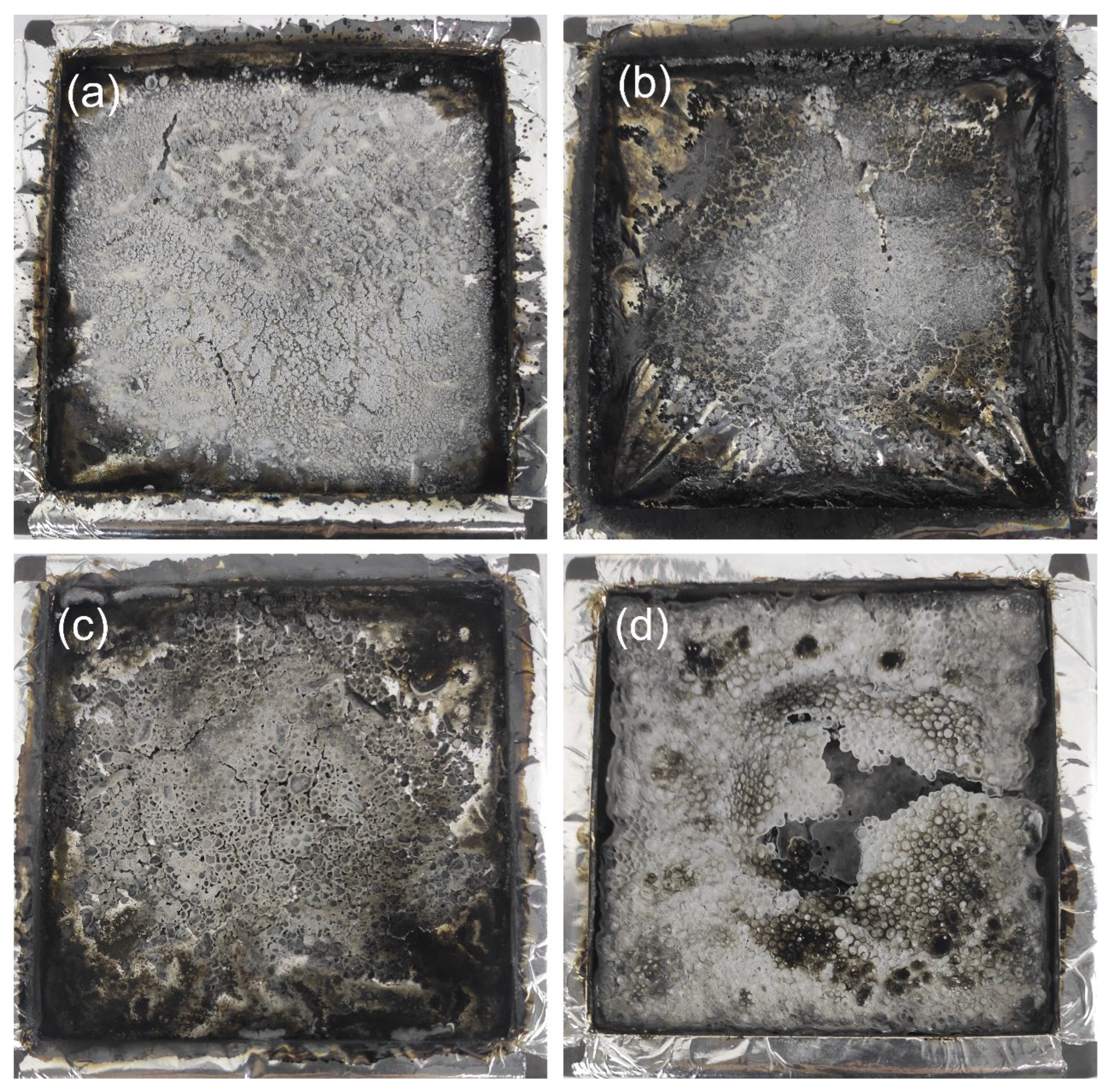 Preprints 90110 g006