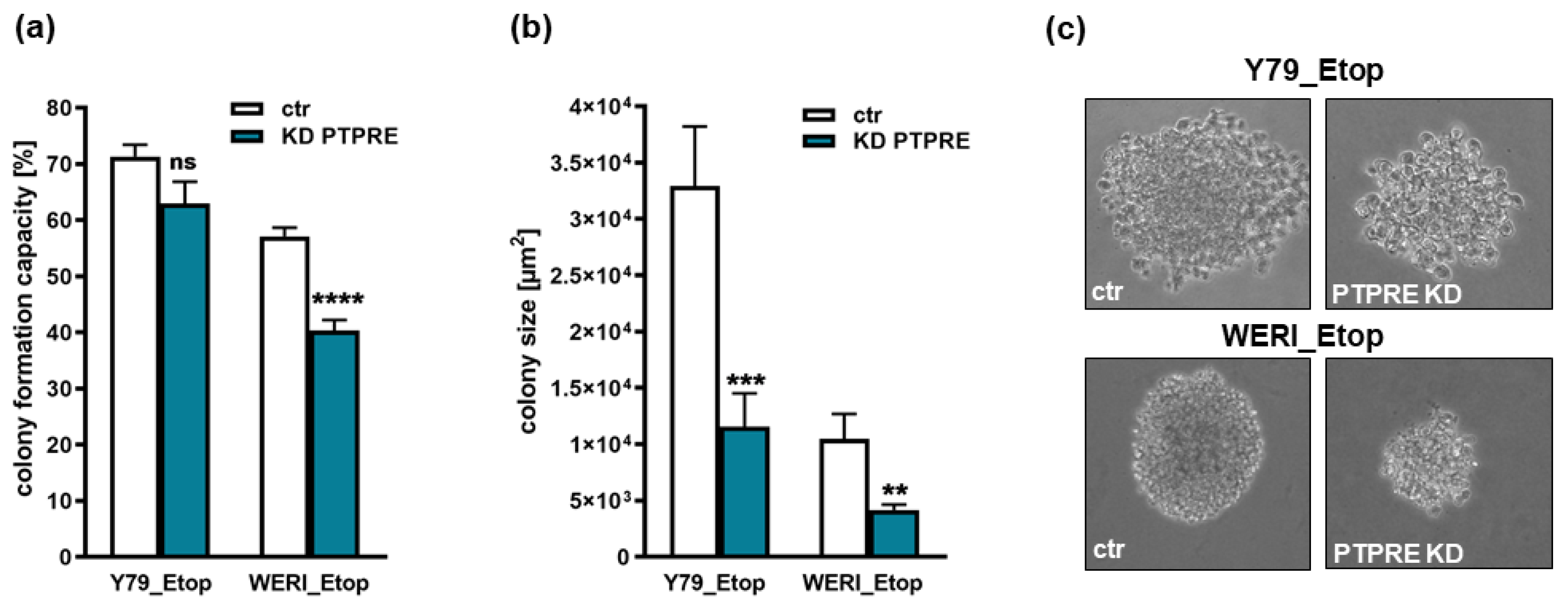 Preprints 101823 g009