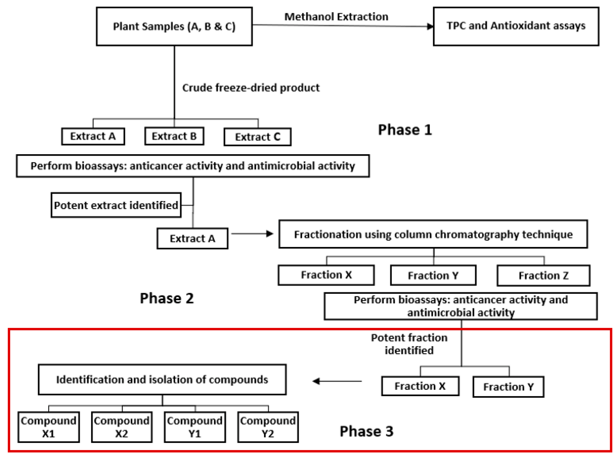 Preprints 96487 g001