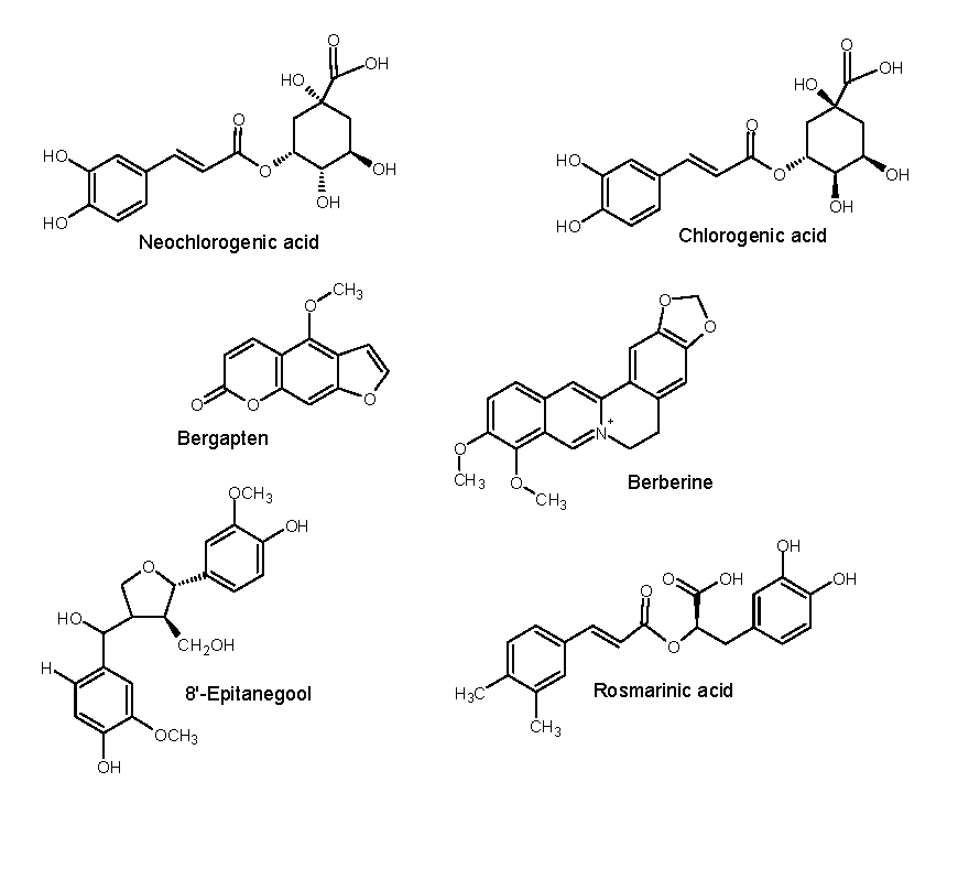 Preprints 96487 g008