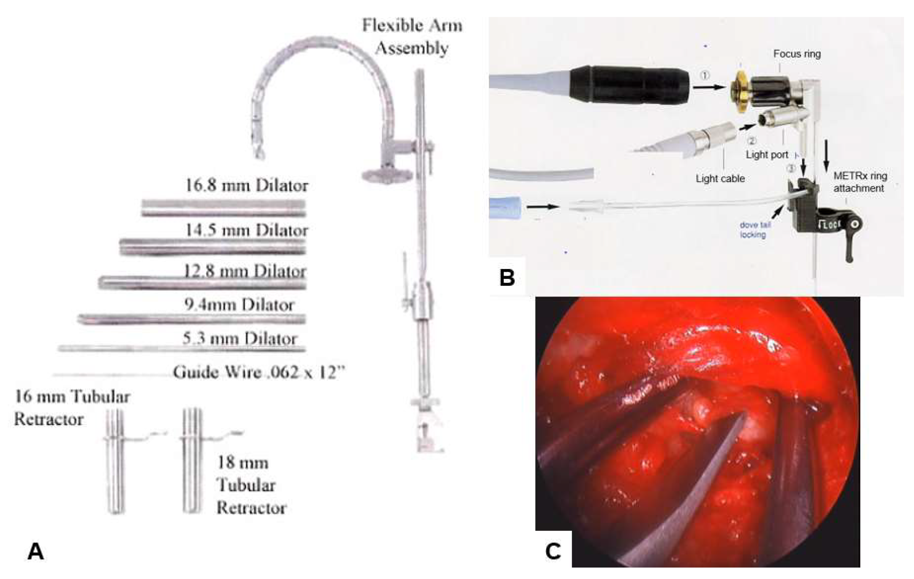 Preprints 103985 g001