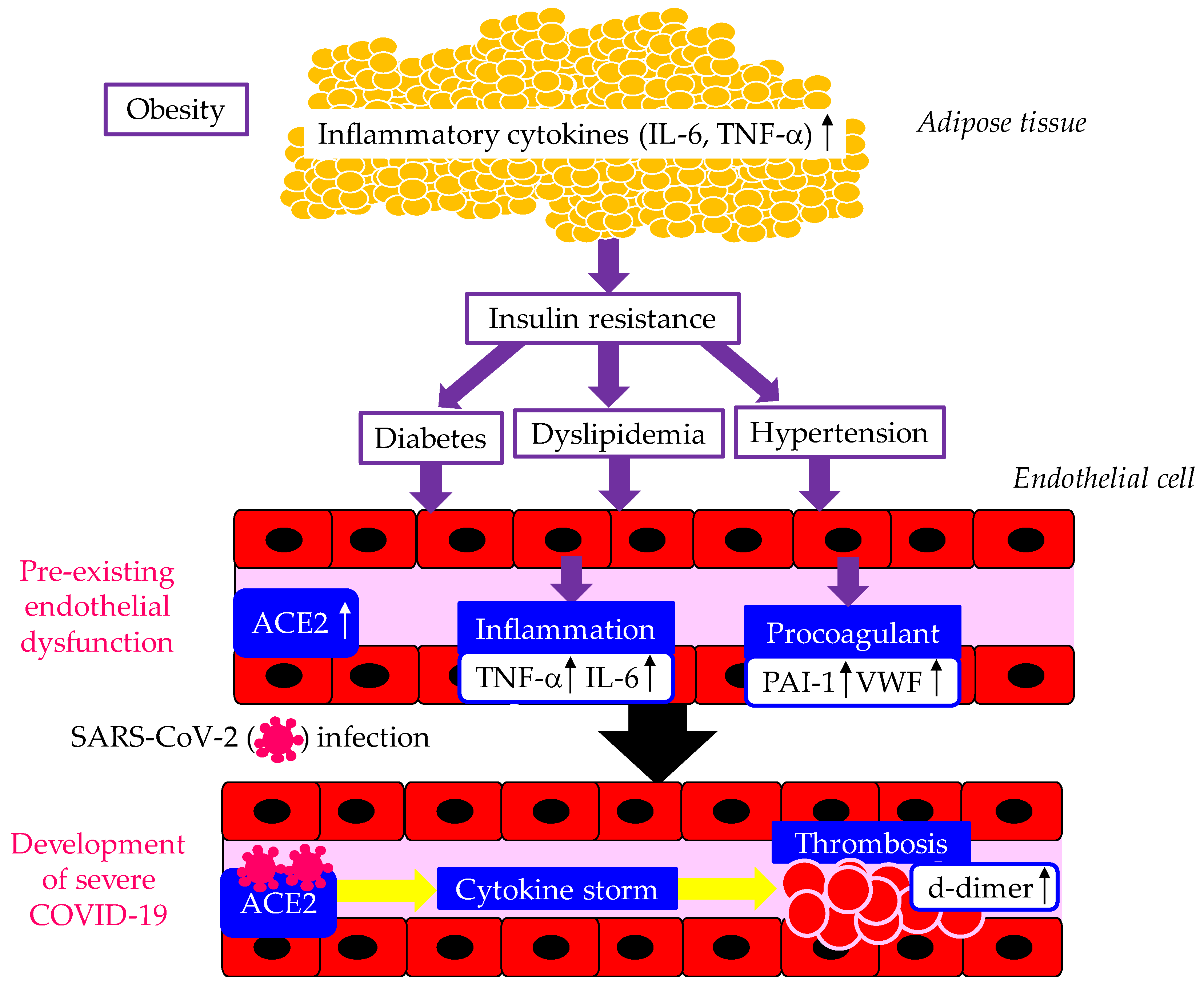 Preprints 109964 g001