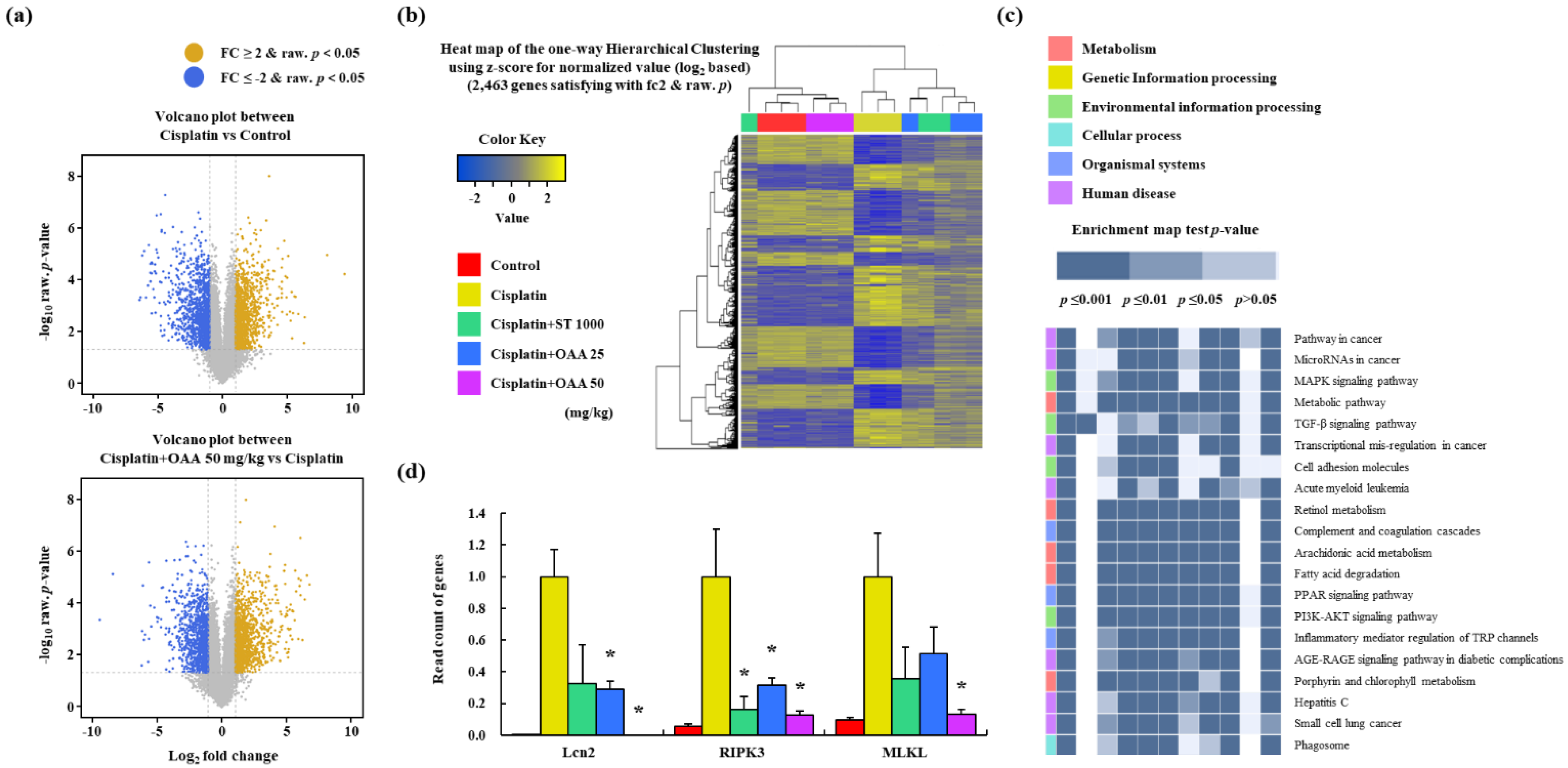 Preprints 101345 g003