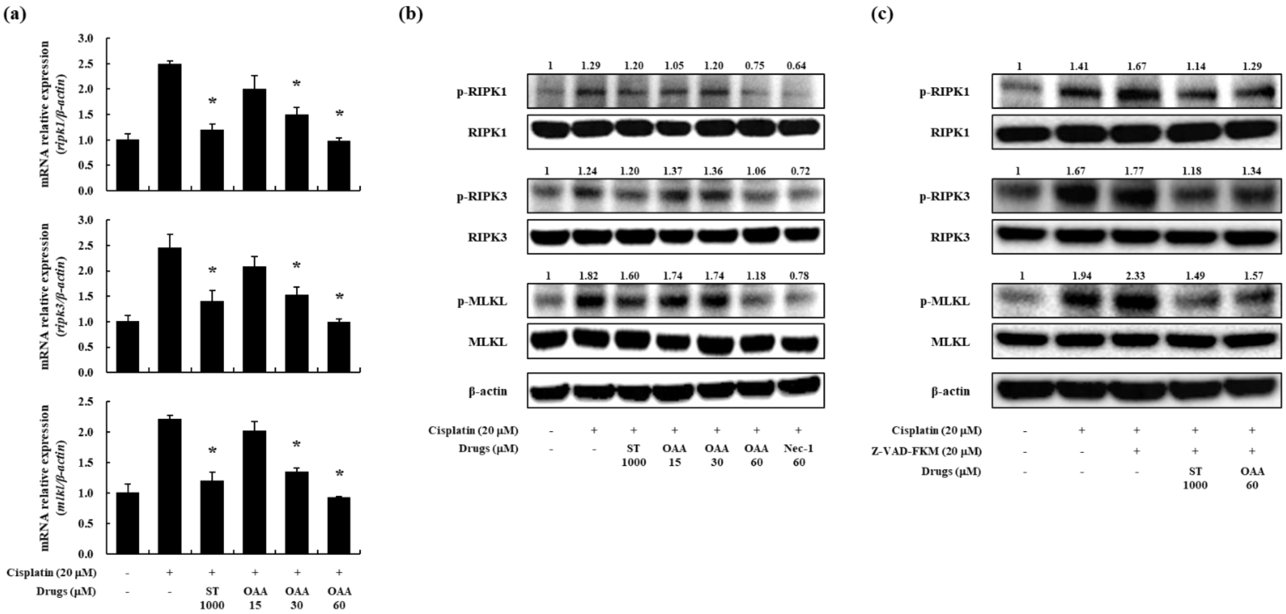 Preprints 101345 g004