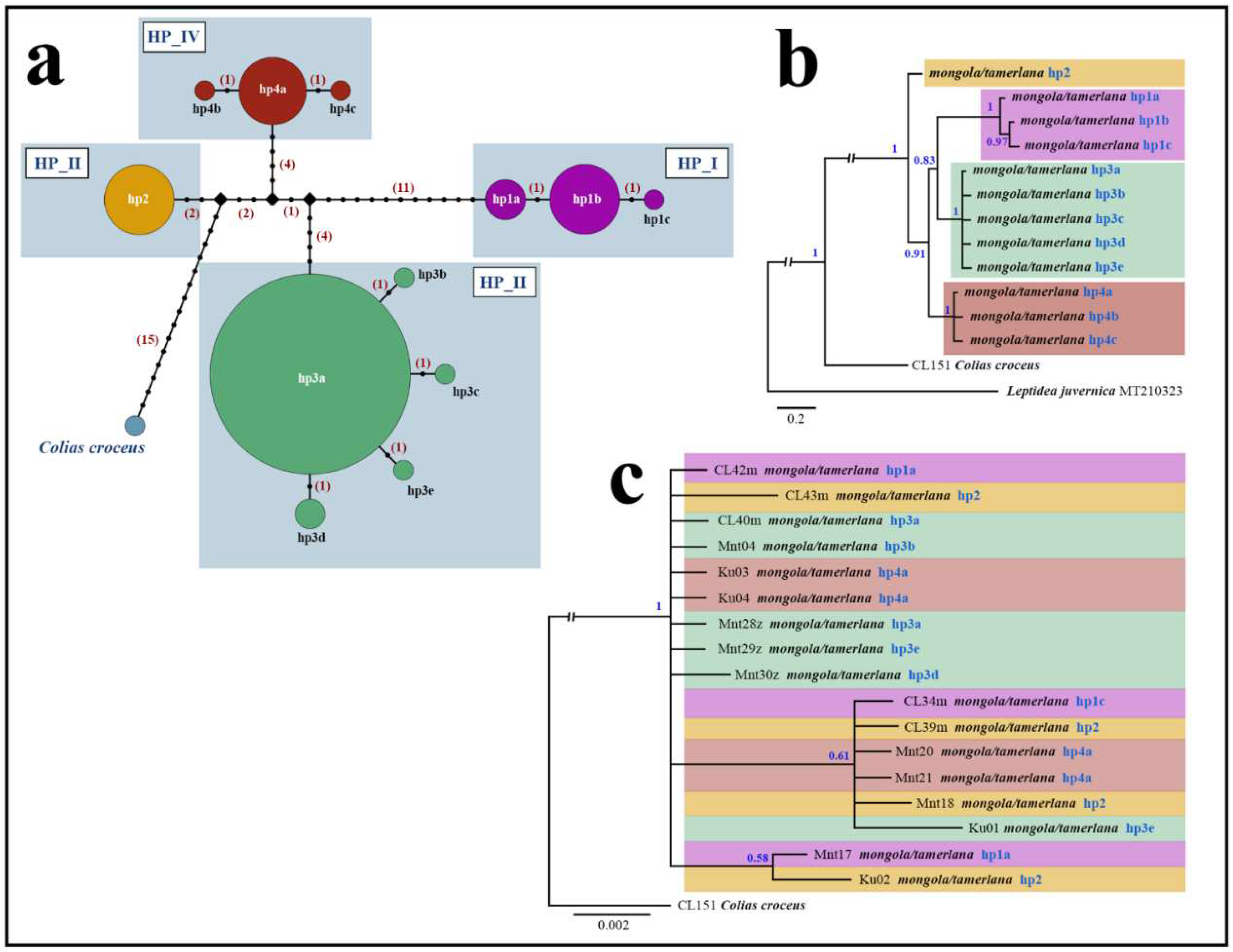 Preprints 89714 g004