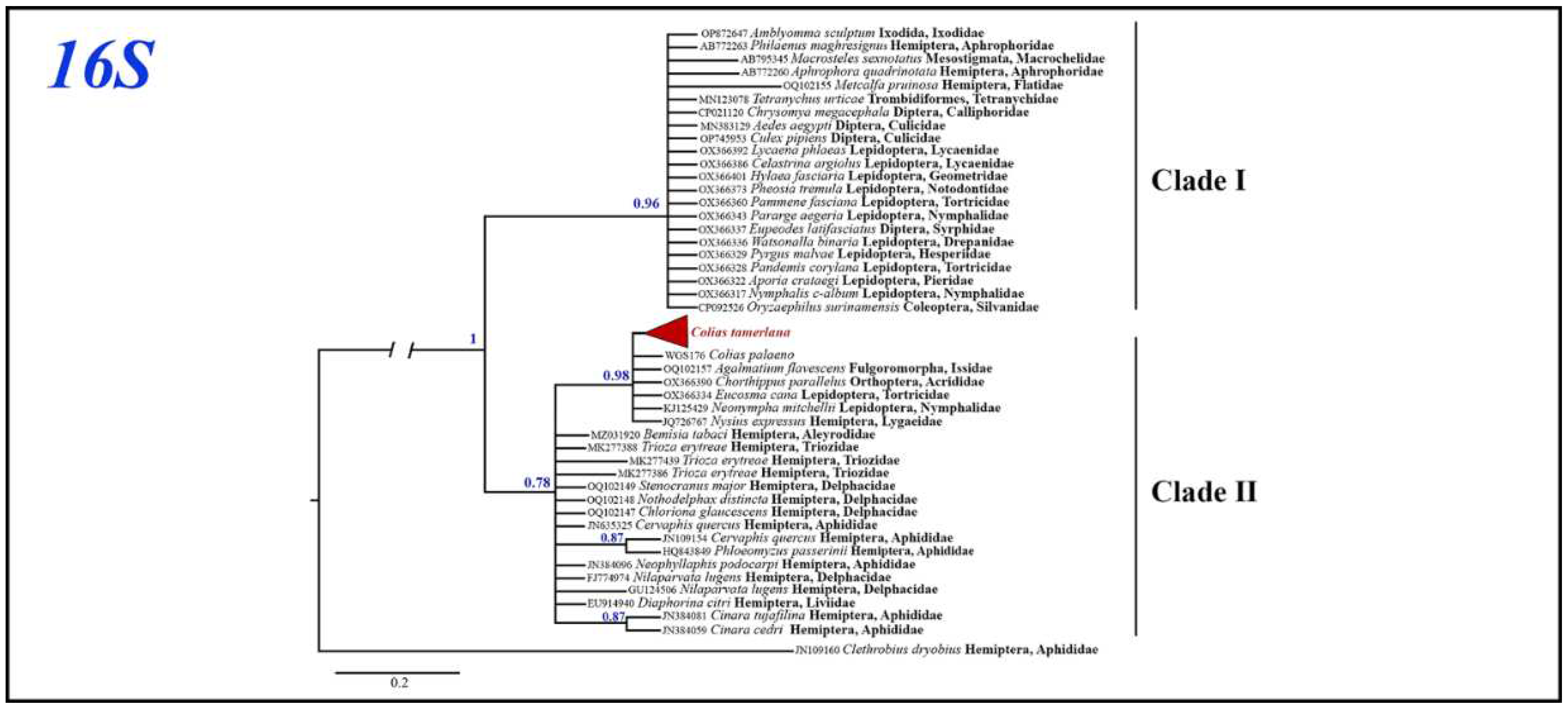 Preprints 89714 g006