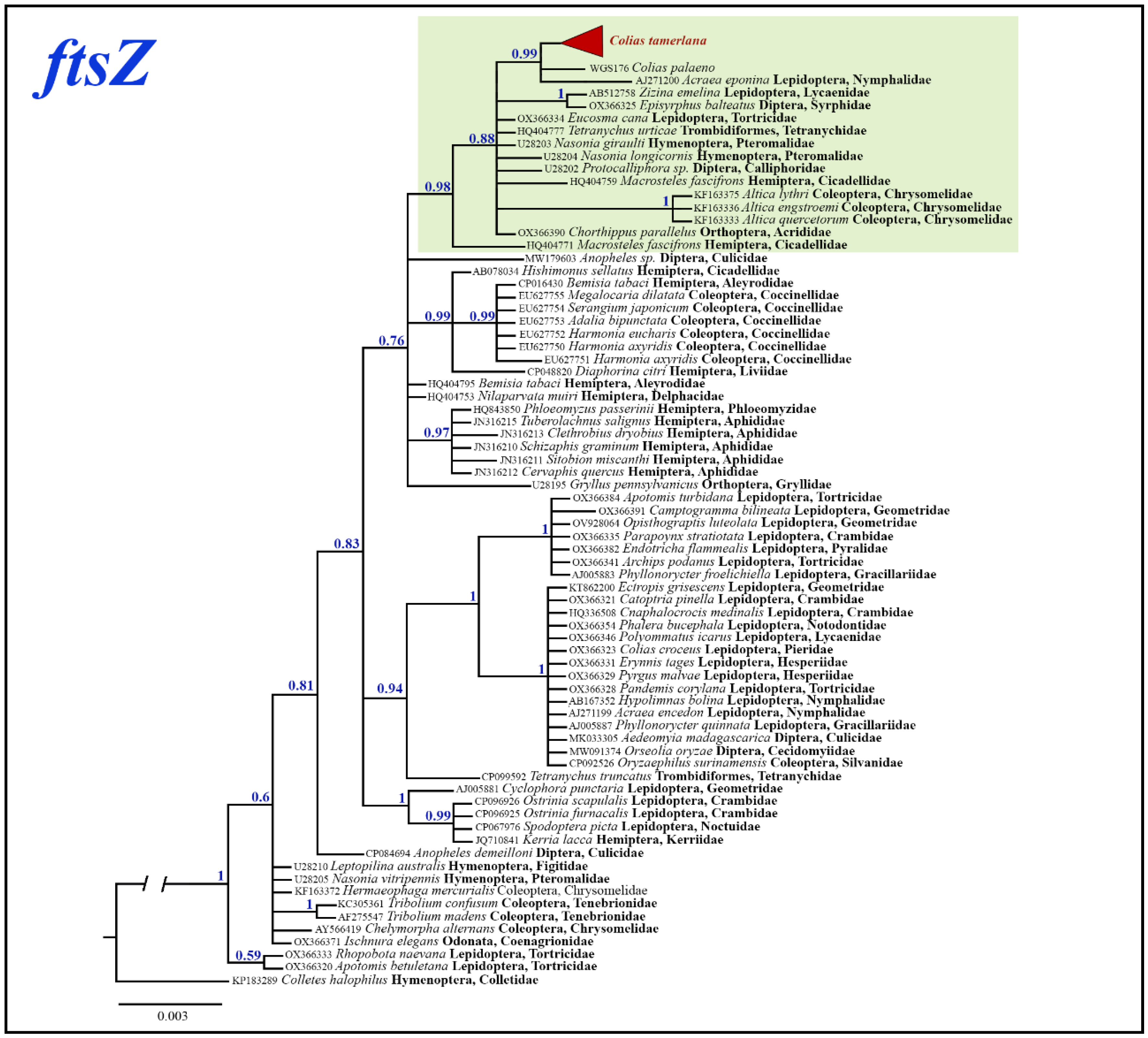 Preprints 89714 g008