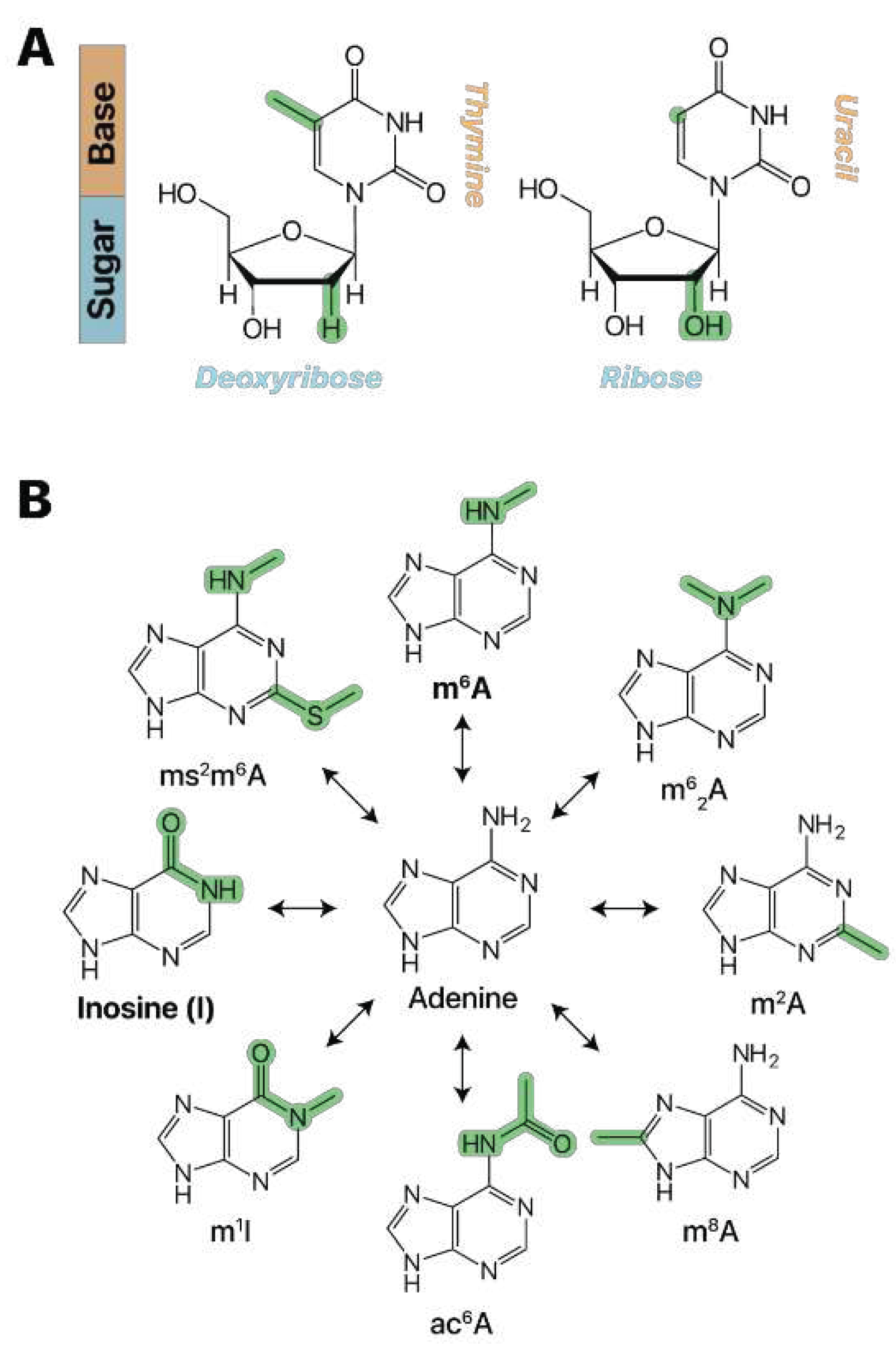 Preprints 87385 g001