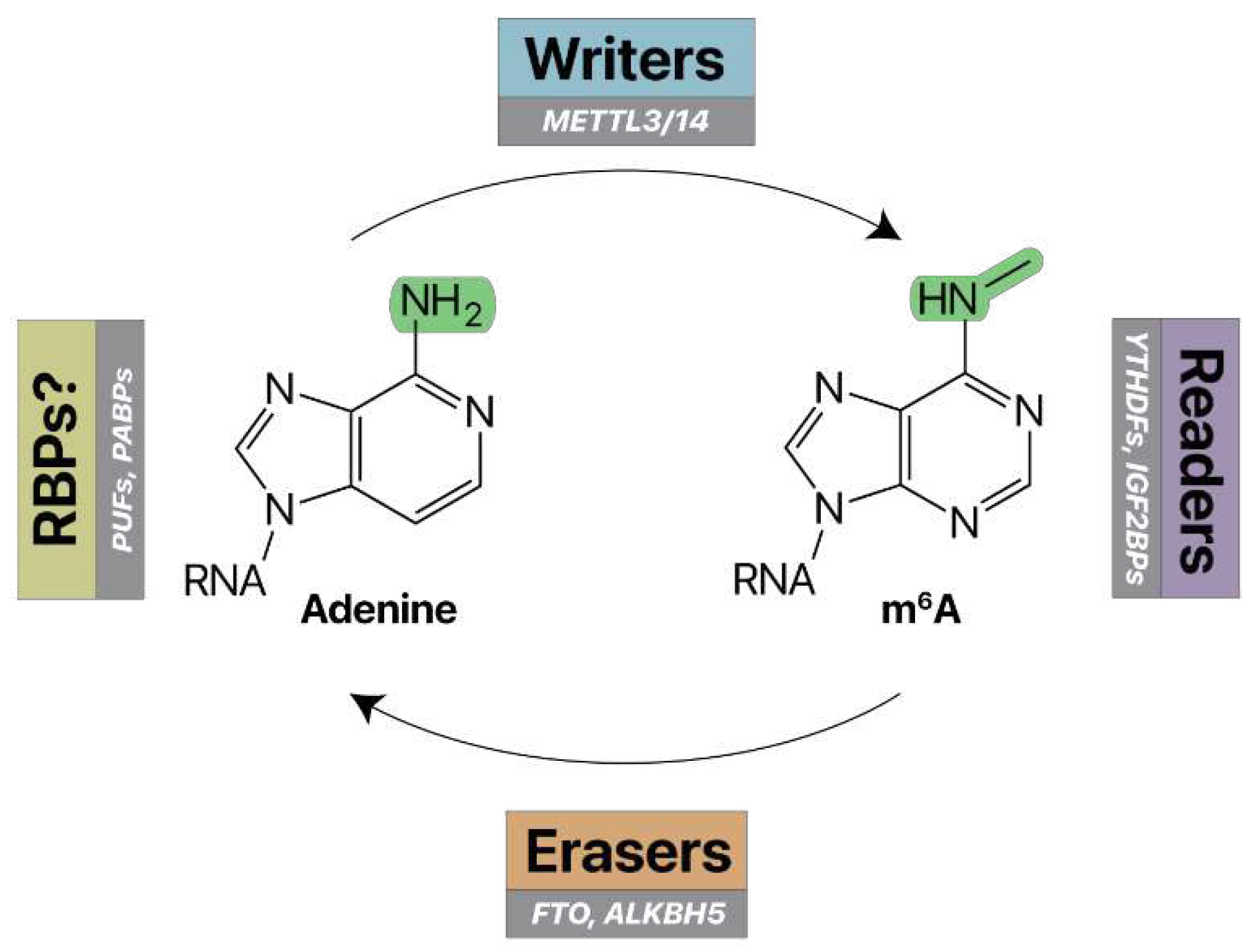 Preprints 87385 g002