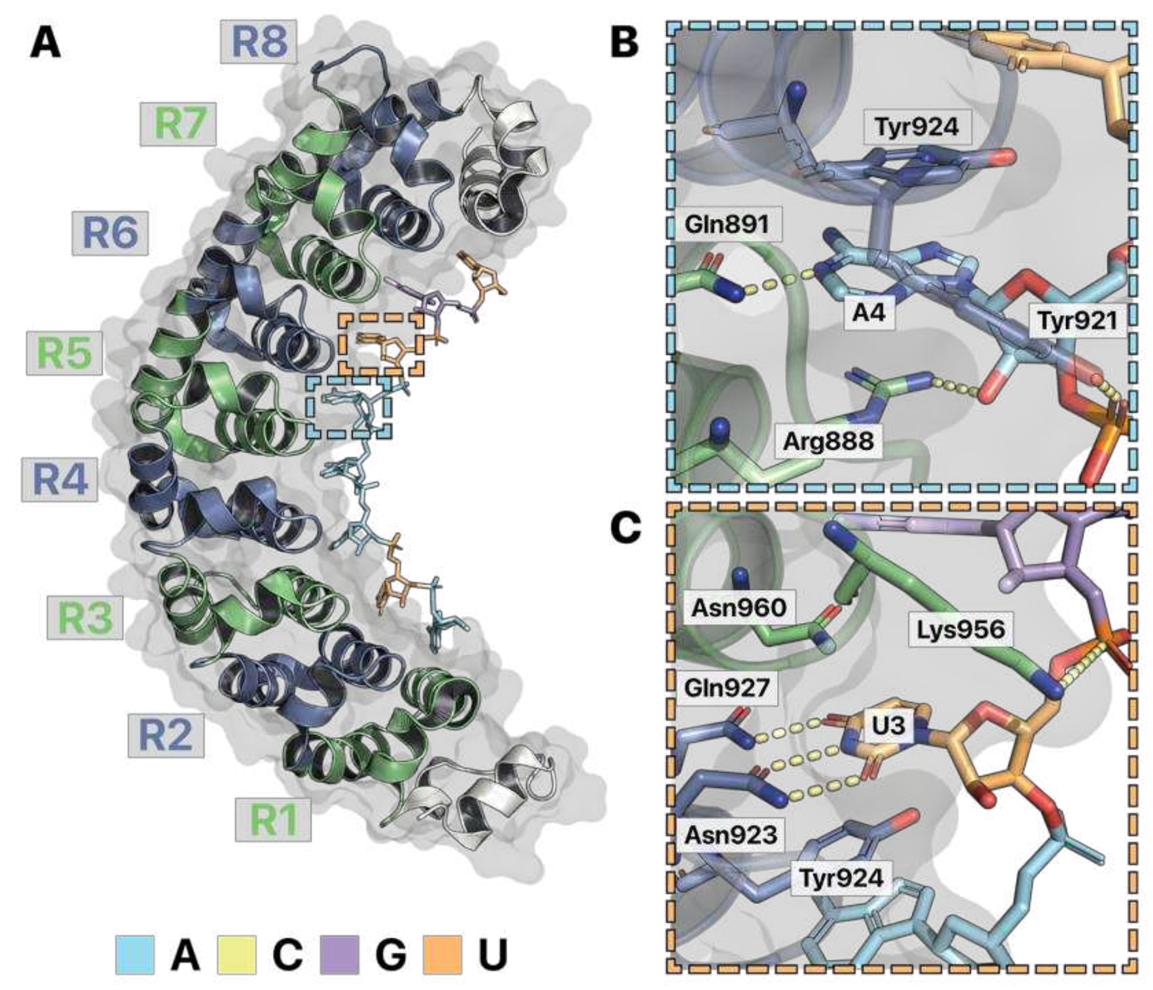 Preprints 87385 g004