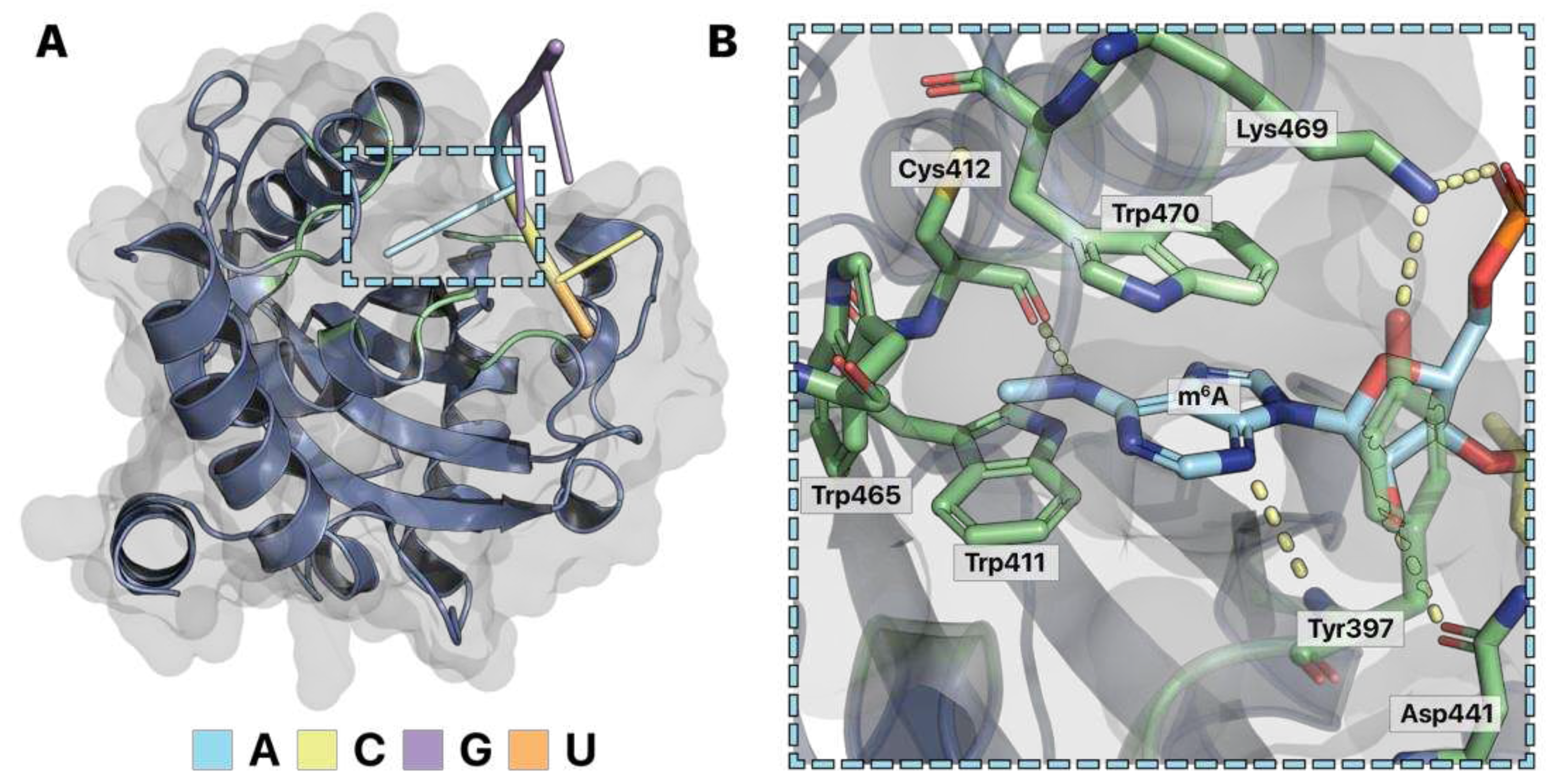 Preprints 87385 g005