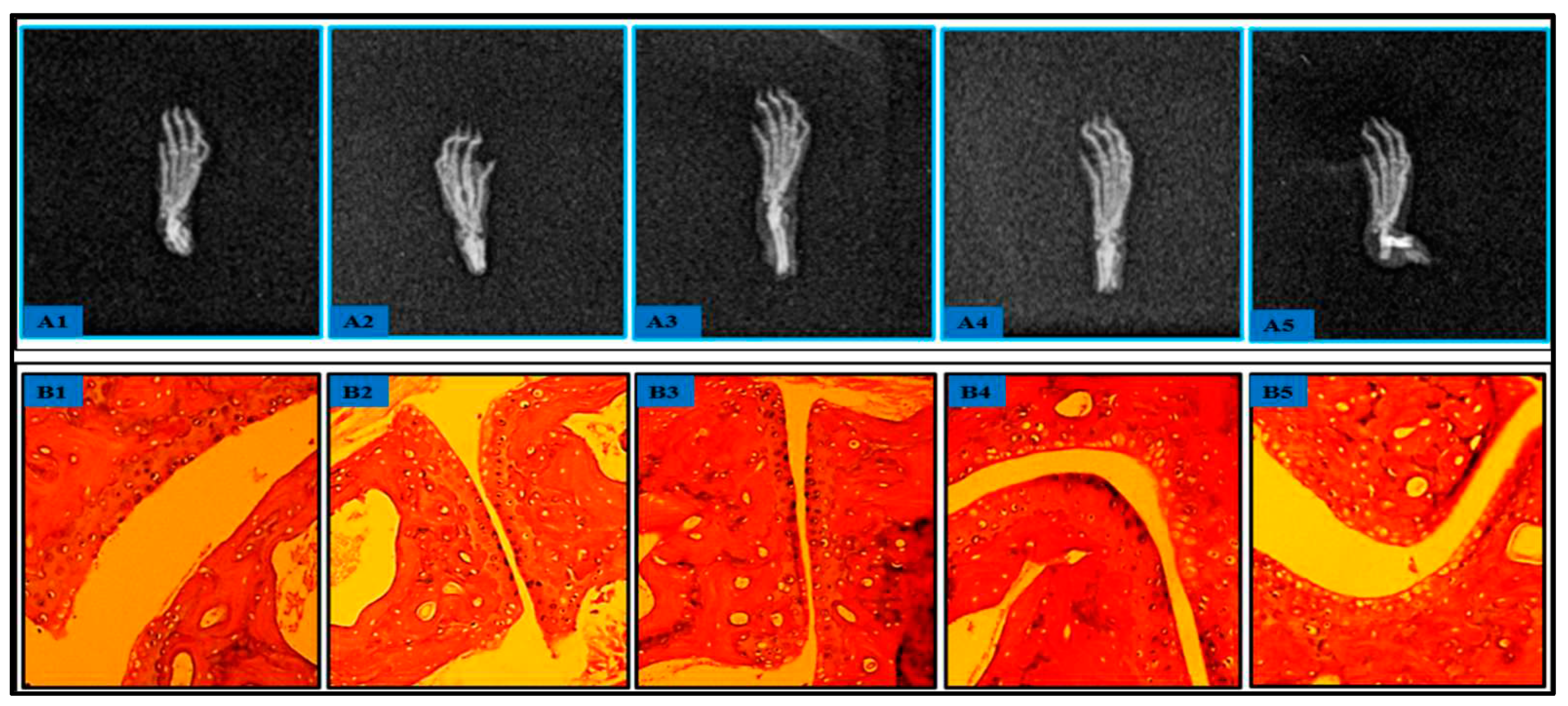 Preprints 74362 g009