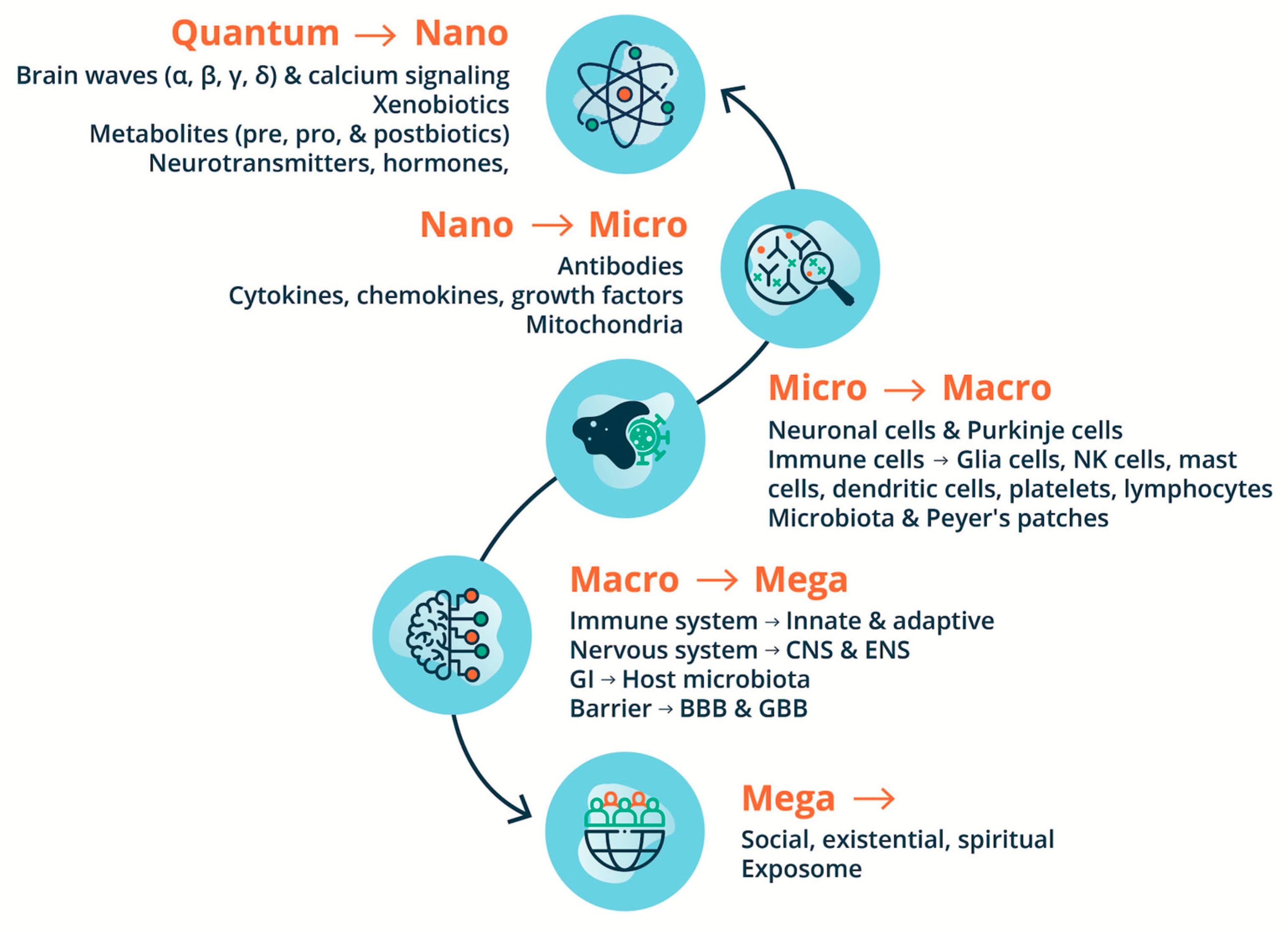 Preprints 138861 g002