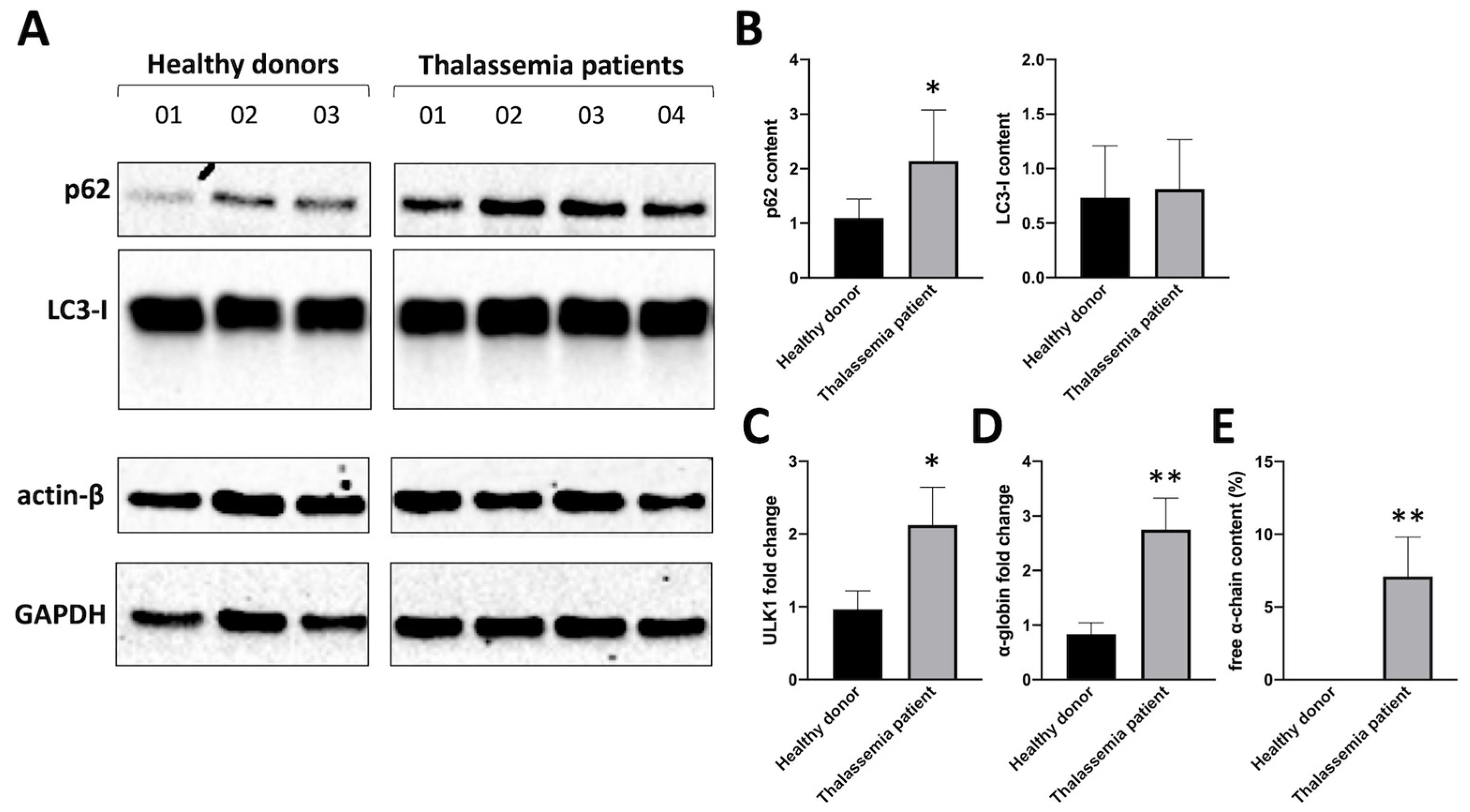 Preprints 83986 g001