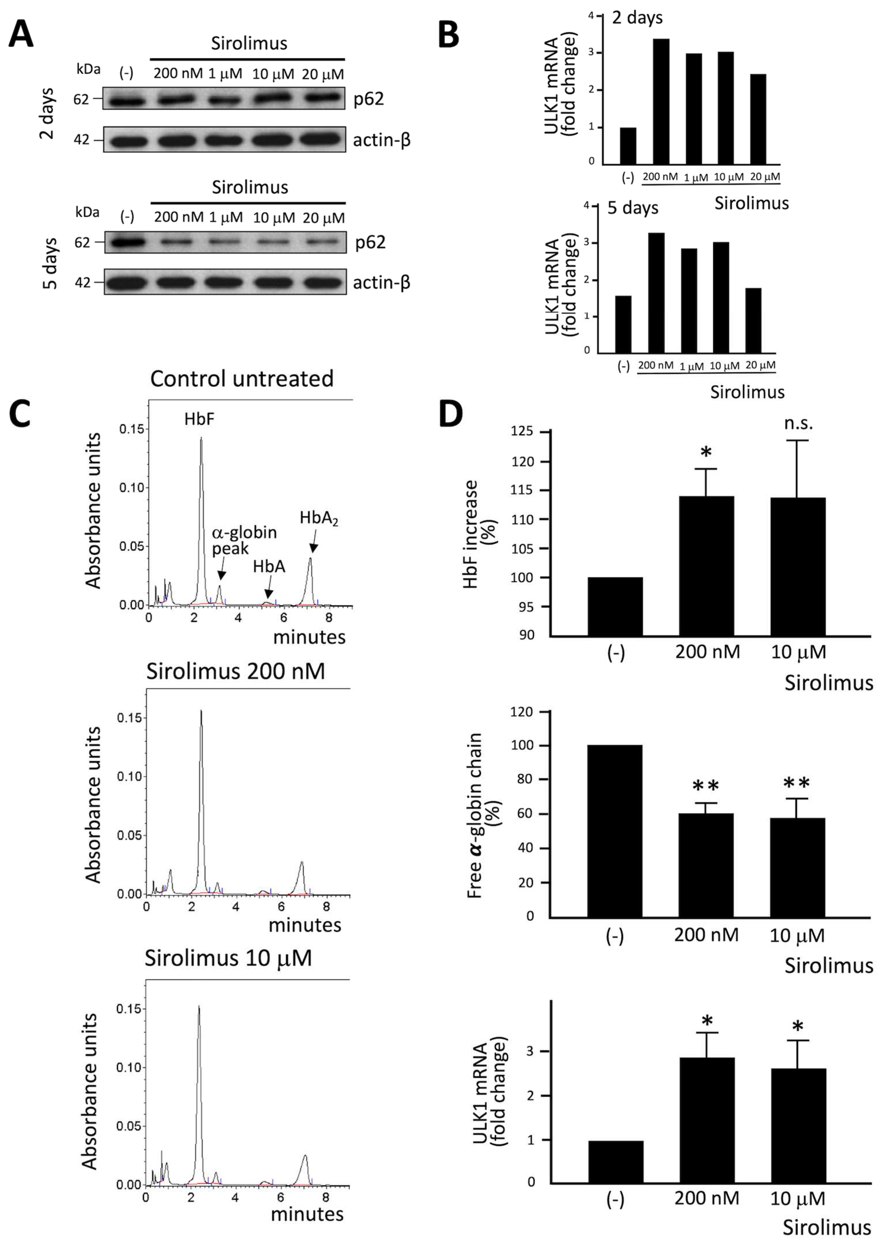 Preprints 83986 g002