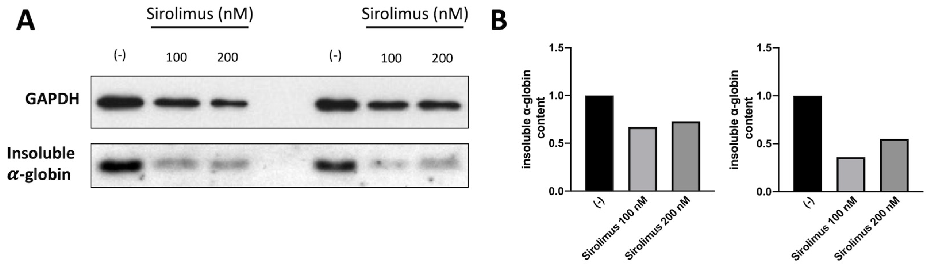 Preprints 83986 g003