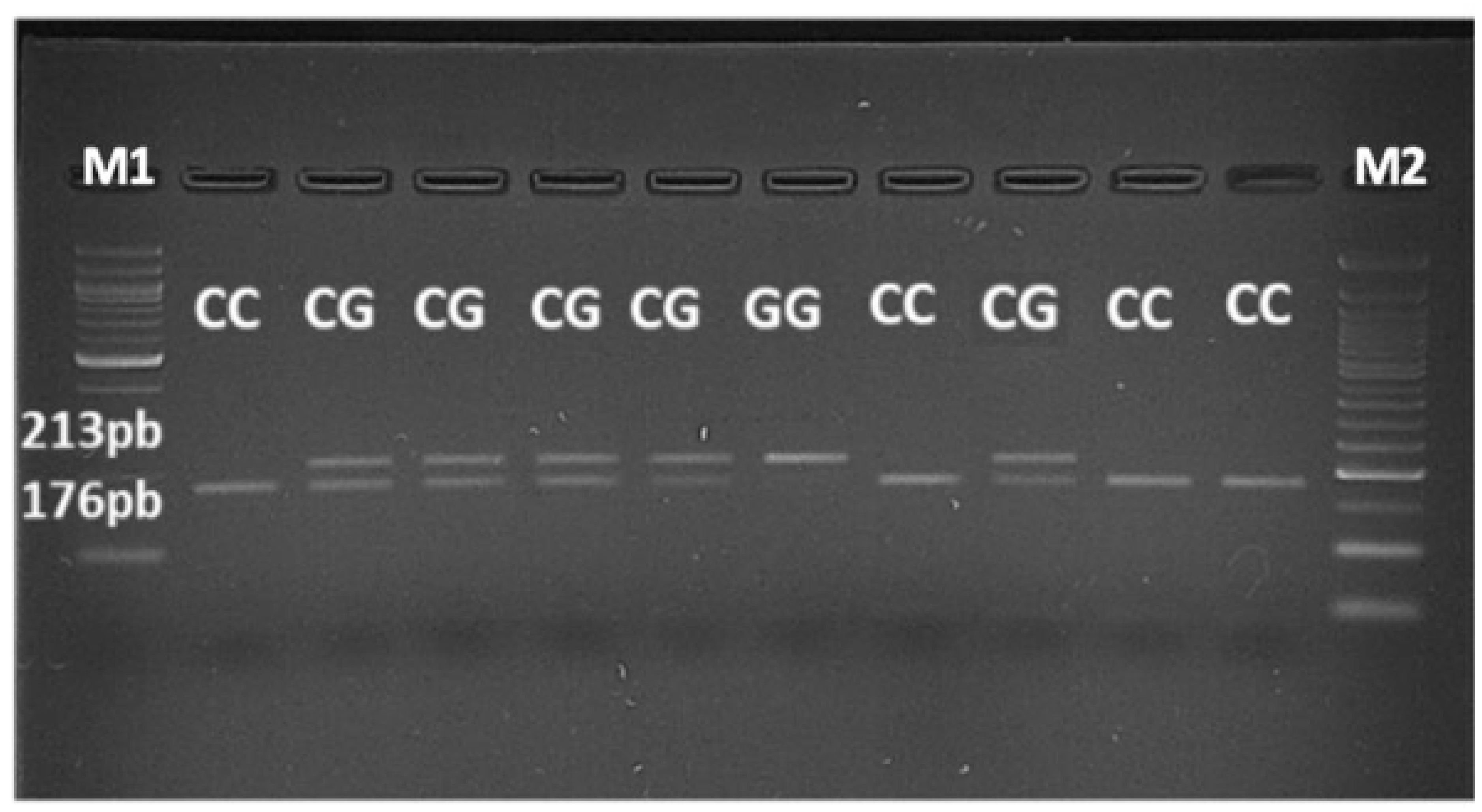 Preprints 113981 g004