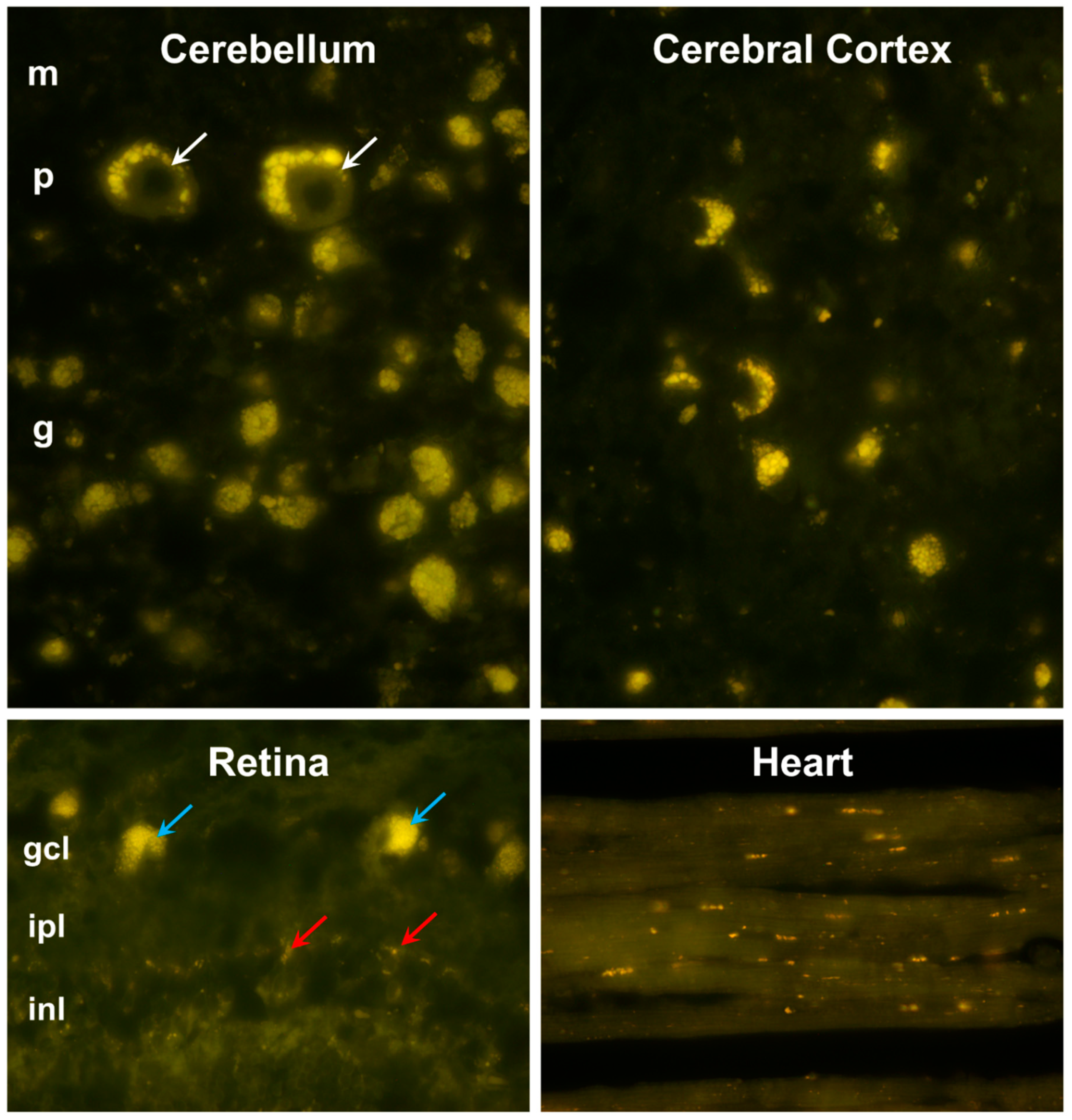 Preprints 105322 g003