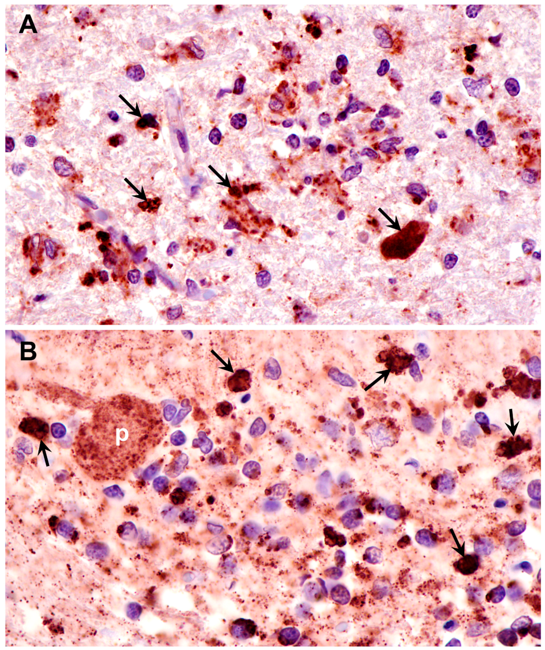 Preprints 105322 g010