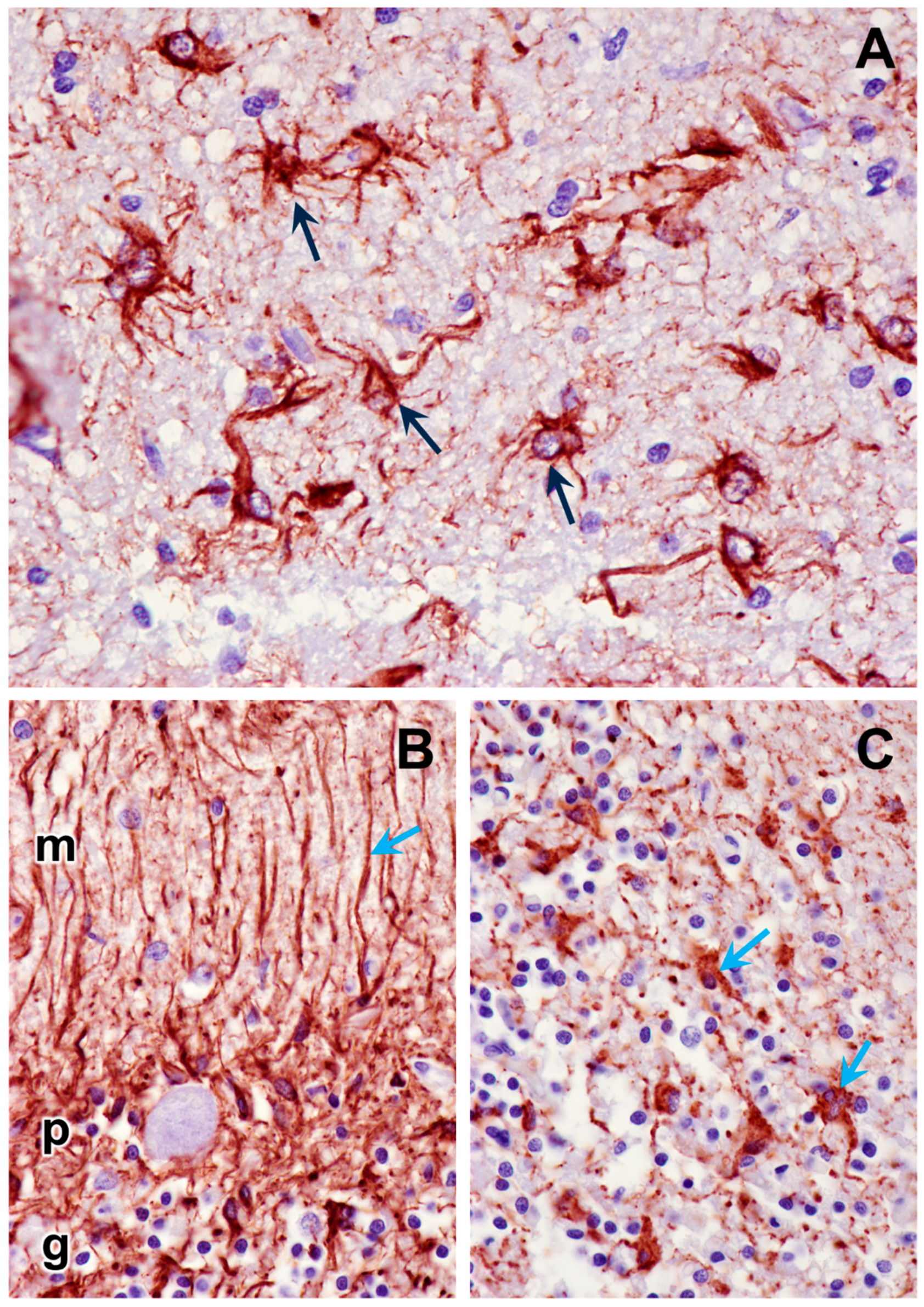 Preprints 105322 g012