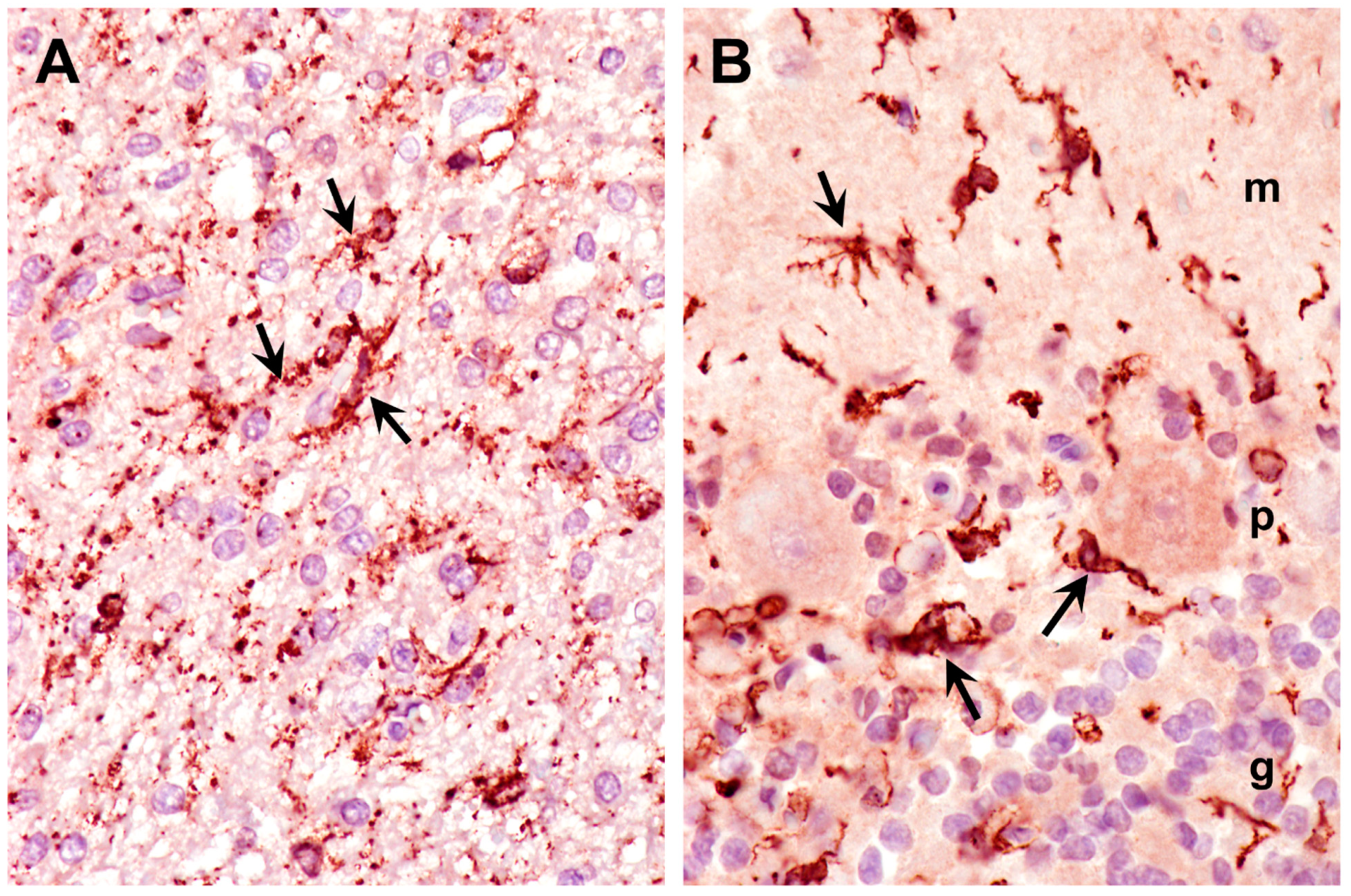 Preprints 105322 g013