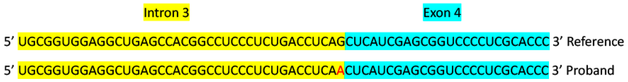 Preprints 105322 g014