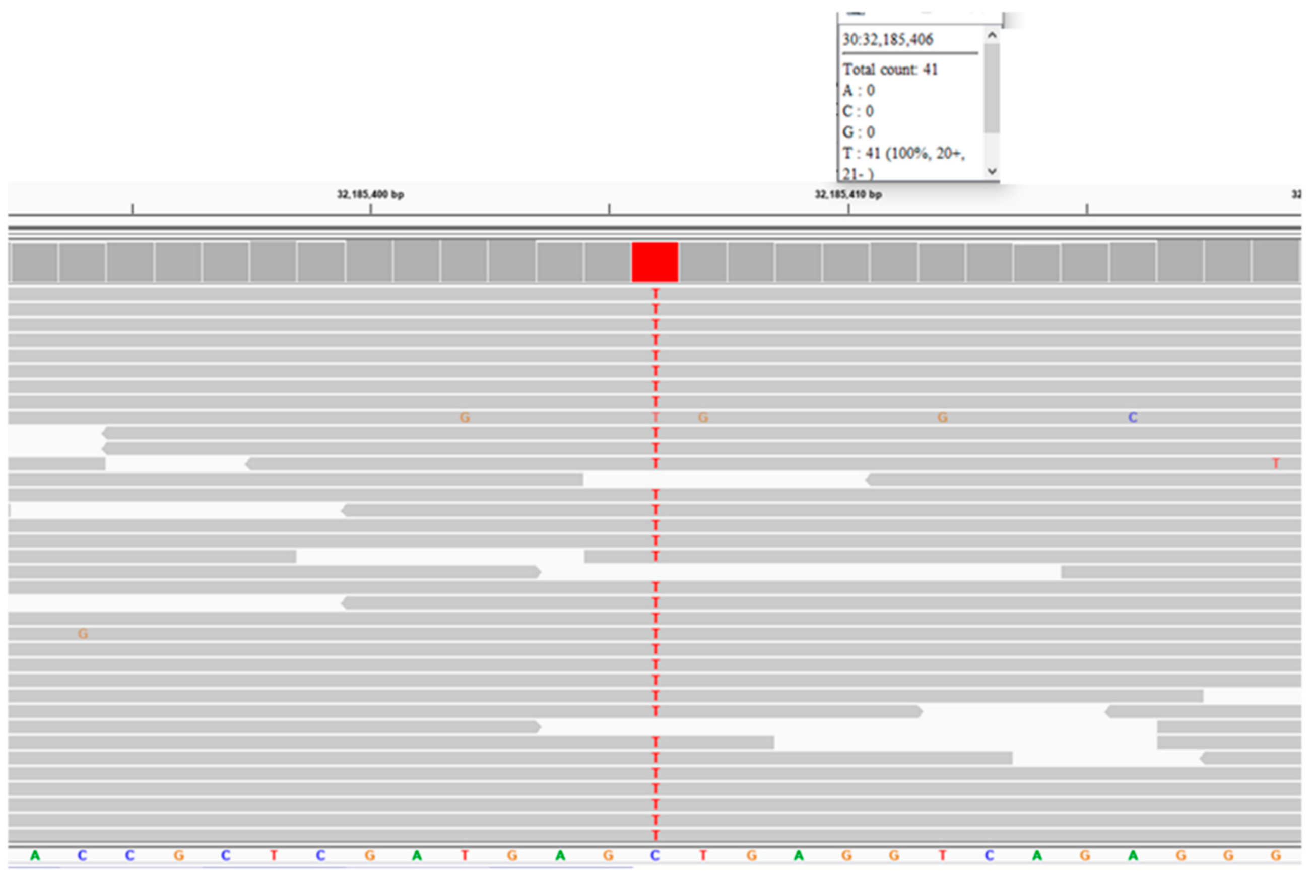 Preprints 105322 g015