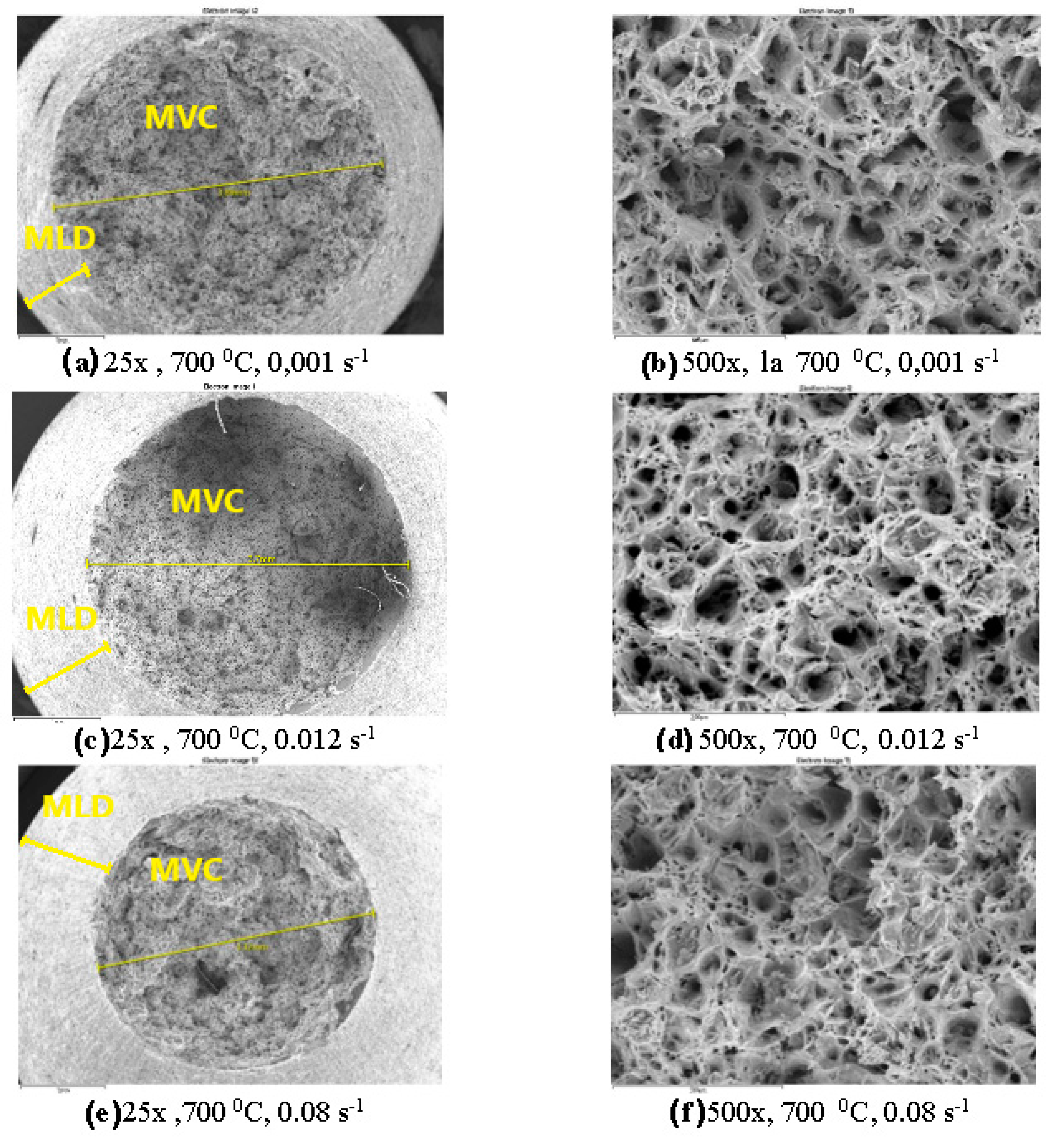 Preprints 87864 g020