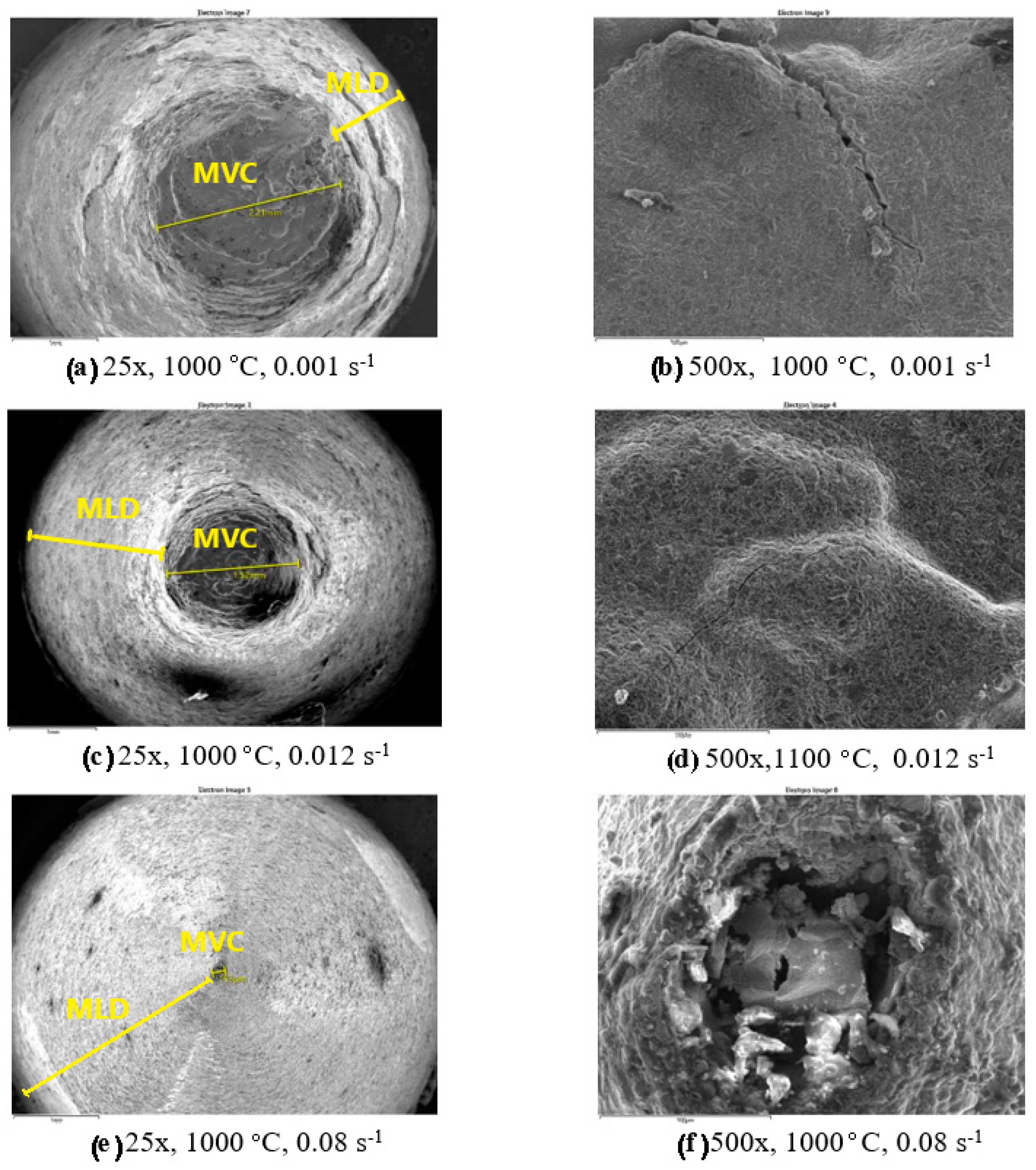 Preprints 87864 g022