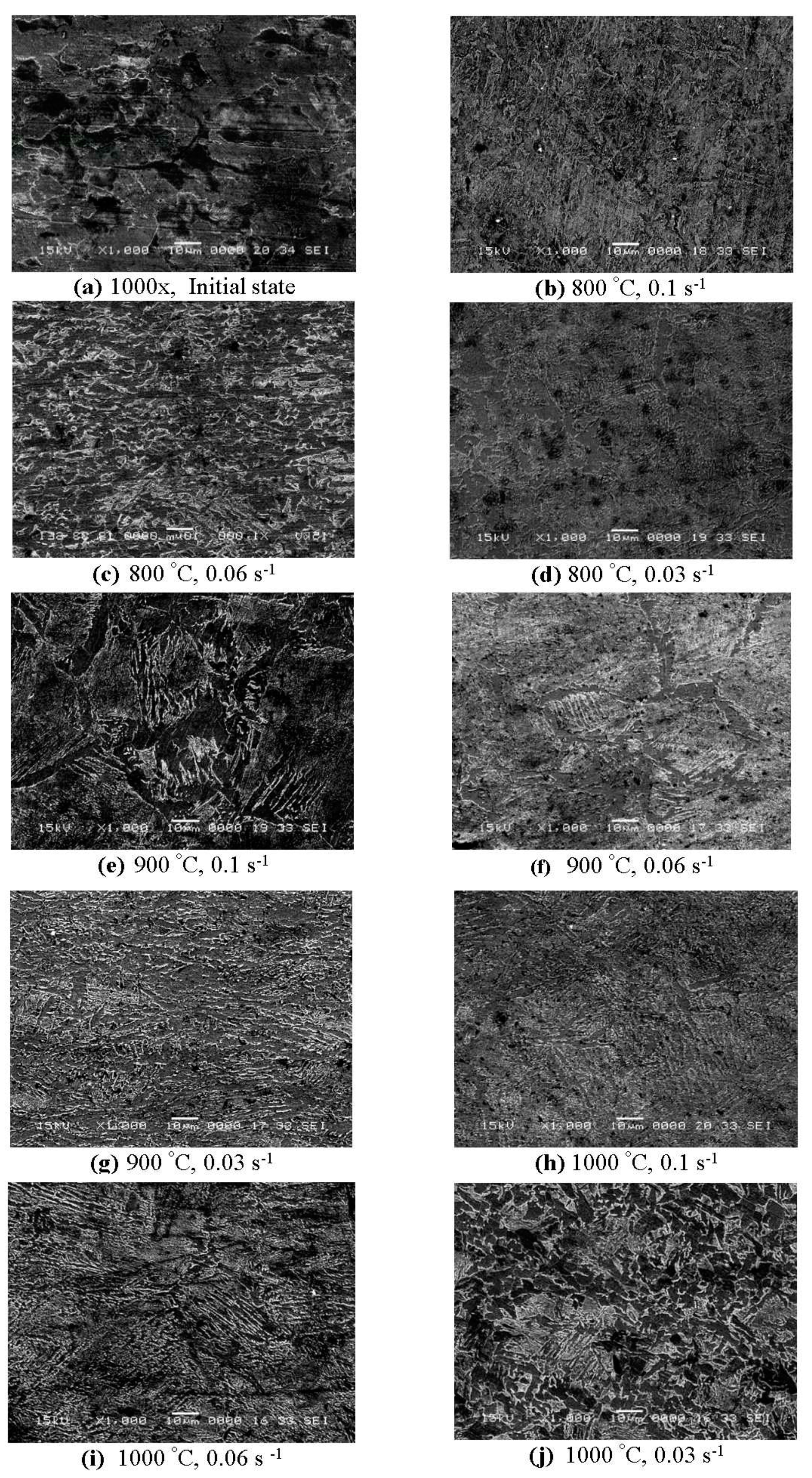 Preprints 87864 g023