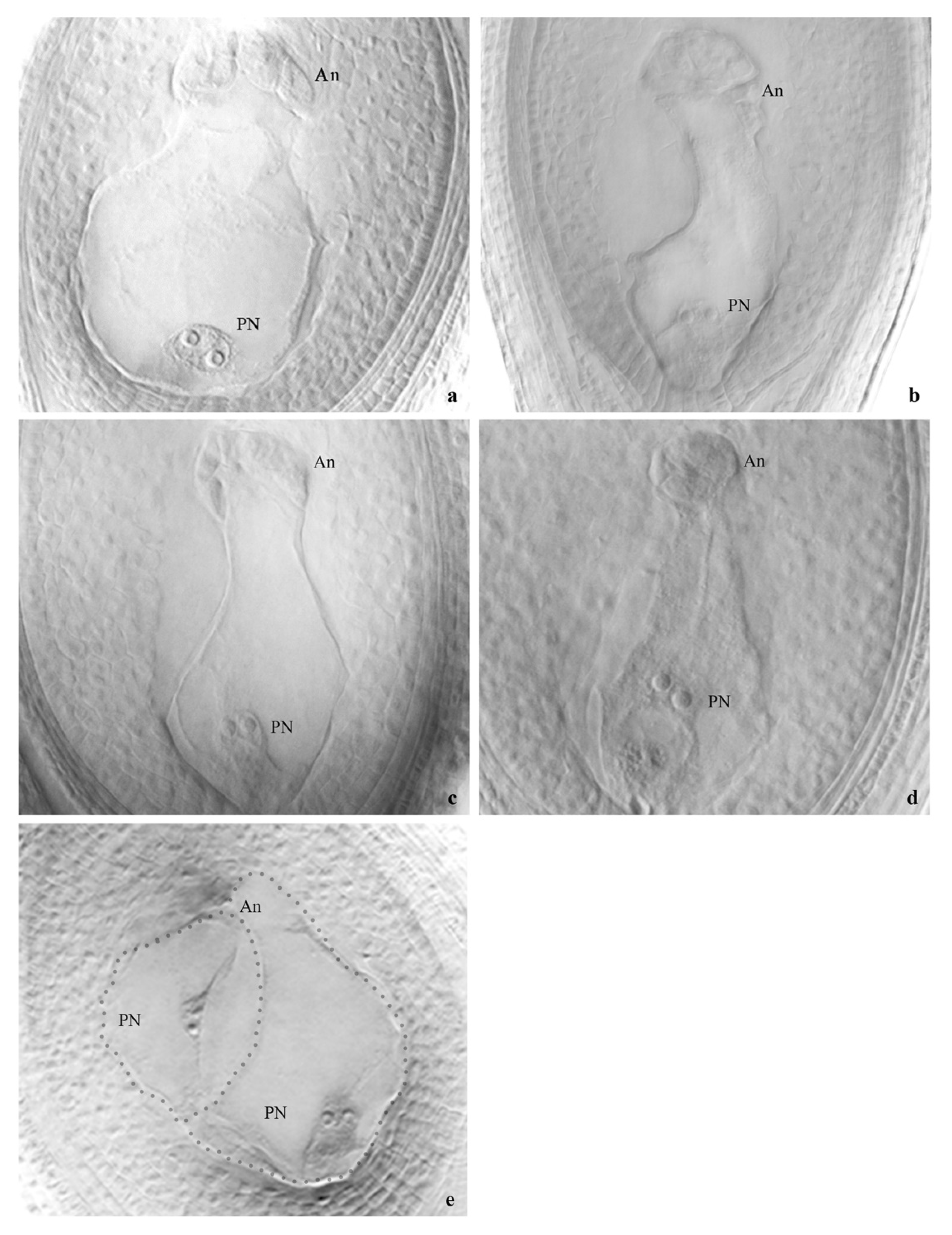 Preprints 73059 g002