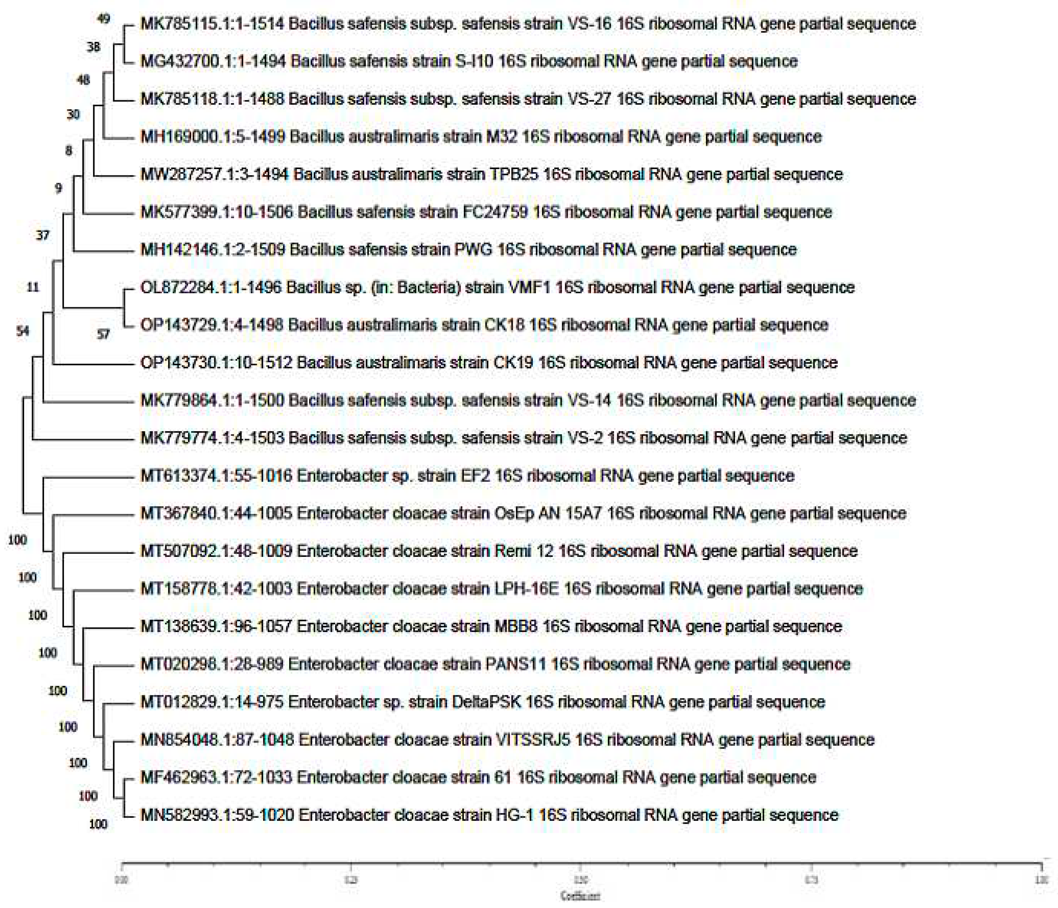 Preprints 72449 g007