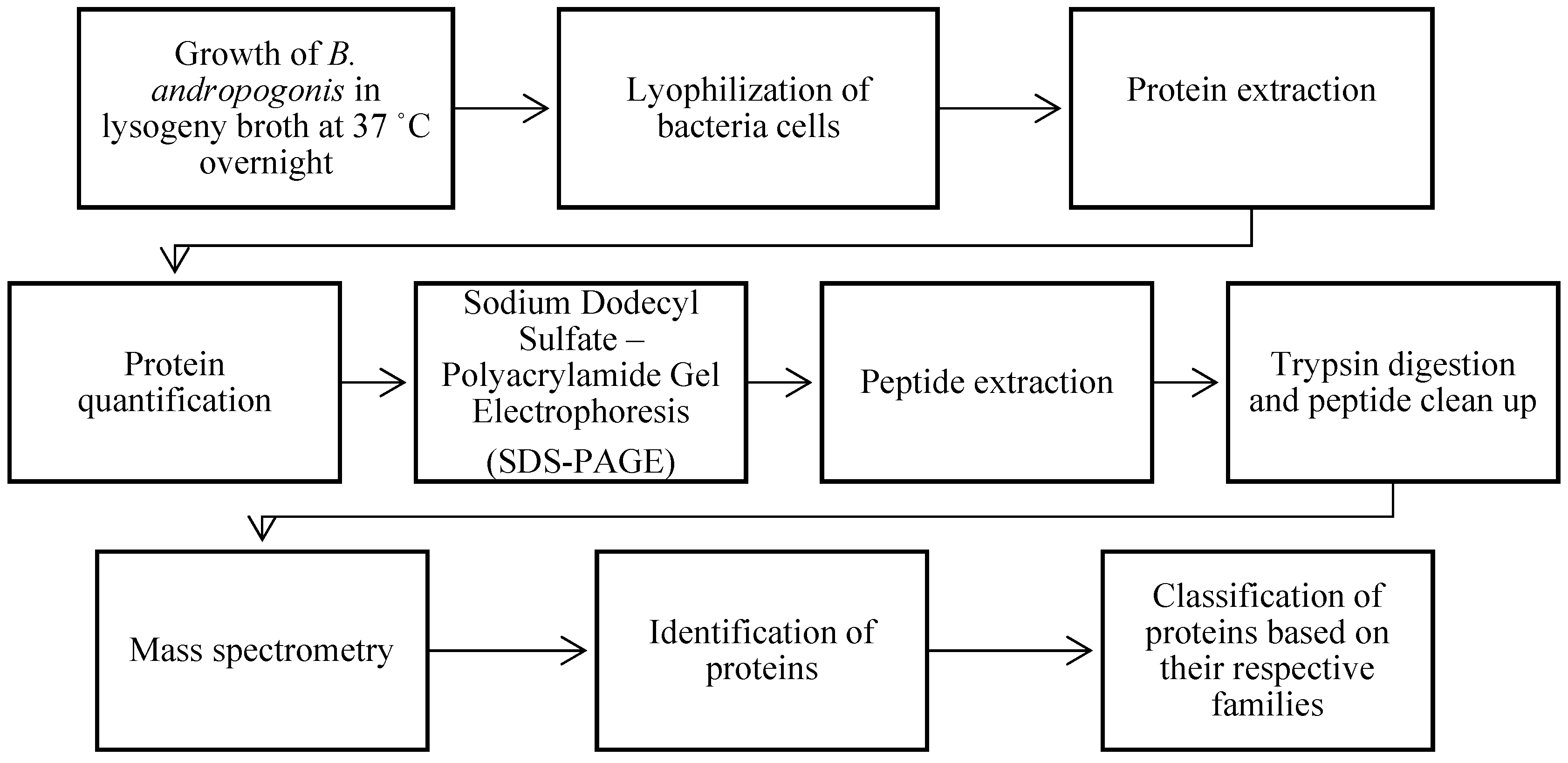 Preprints 83151 g001