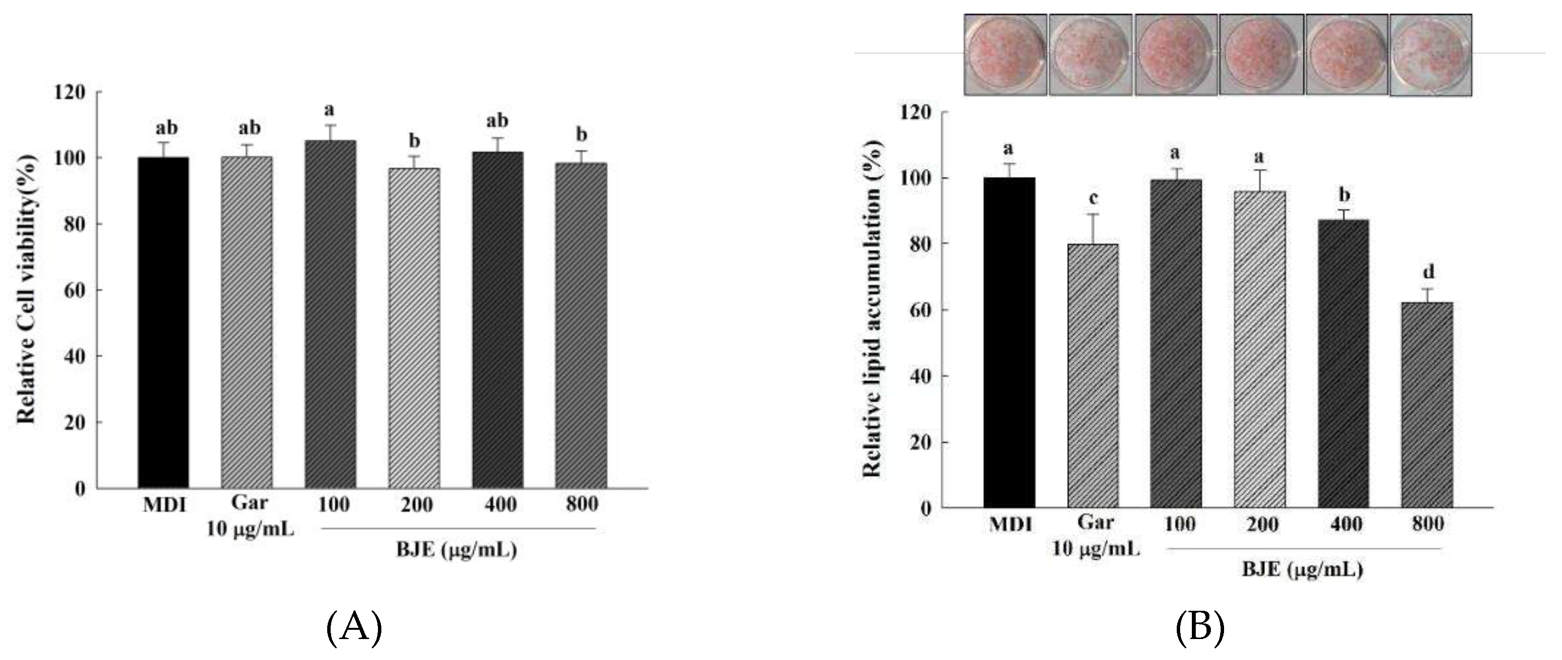 Preprints 97298 g002