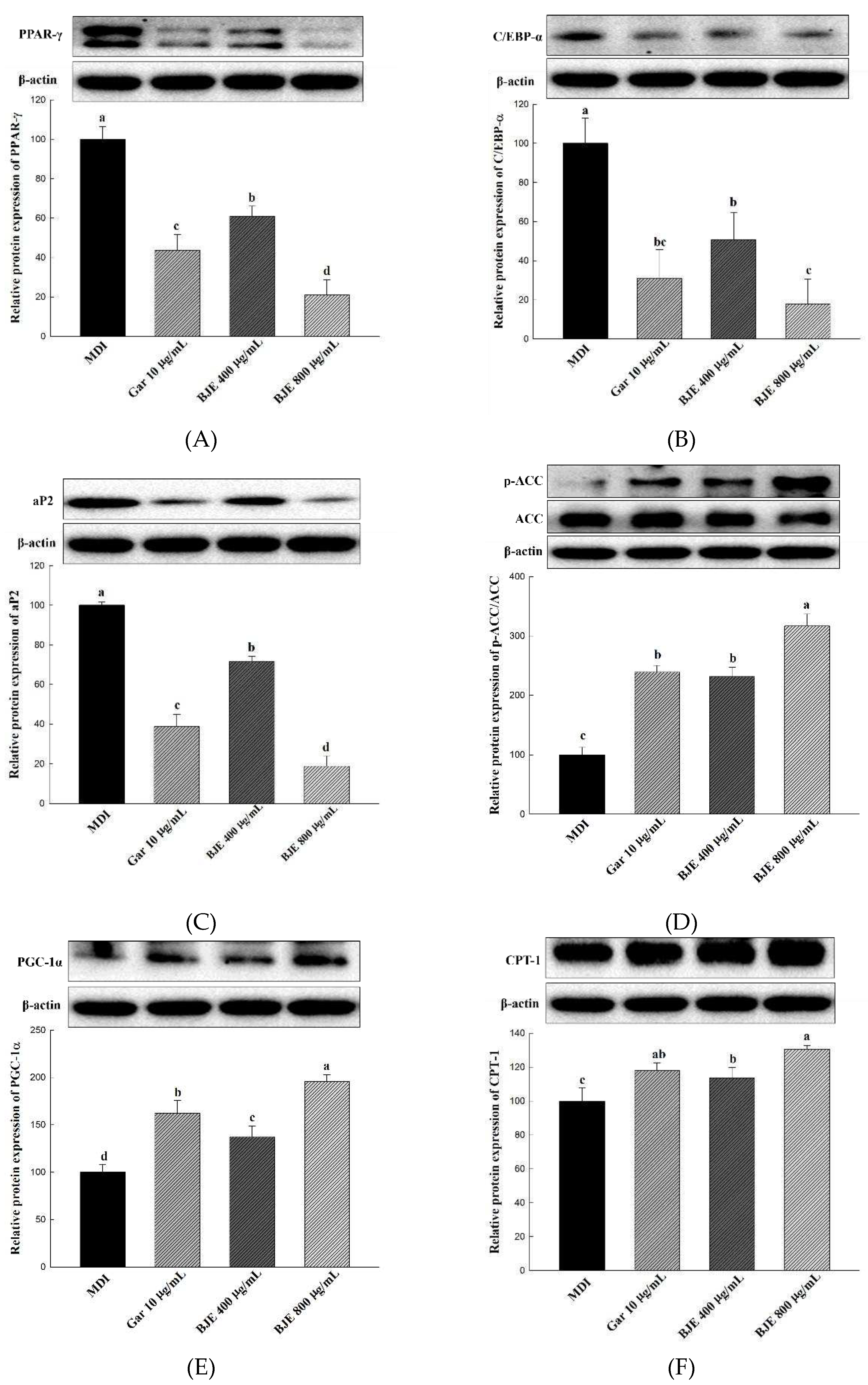 Preprints 97298 g003