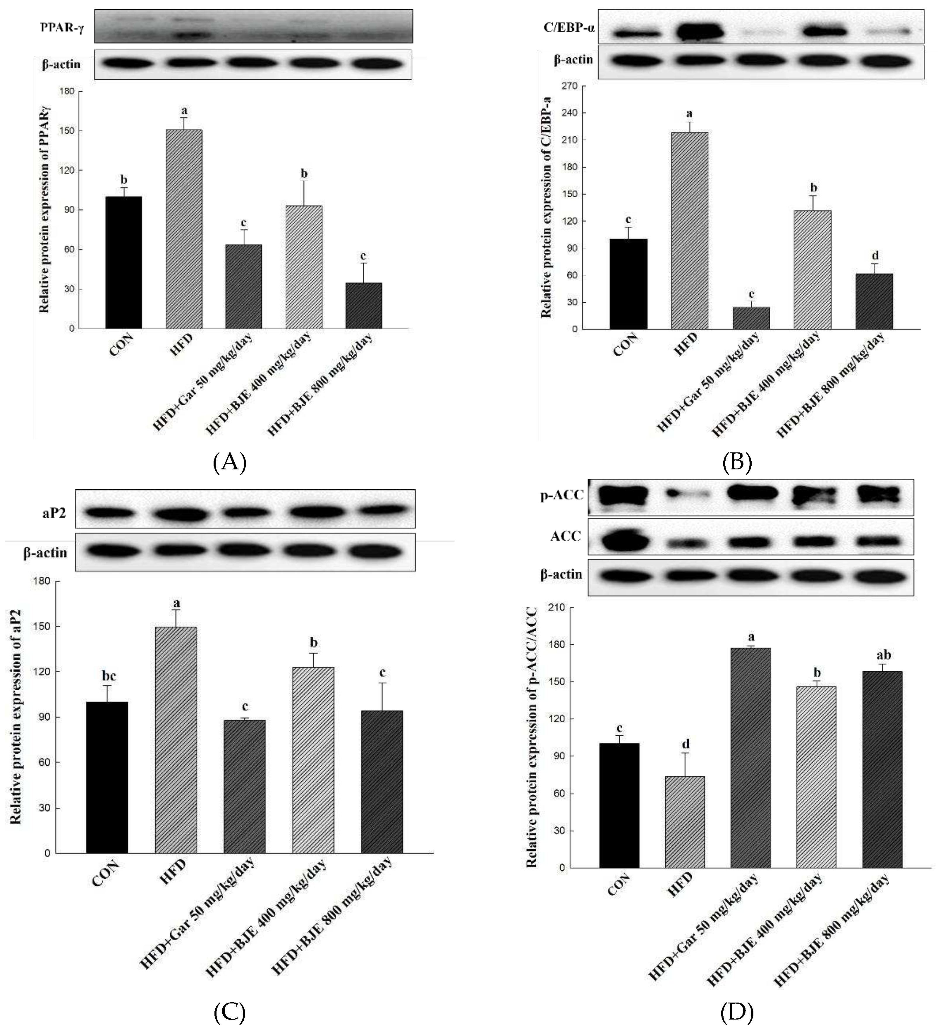 Preprints 97298 g005a