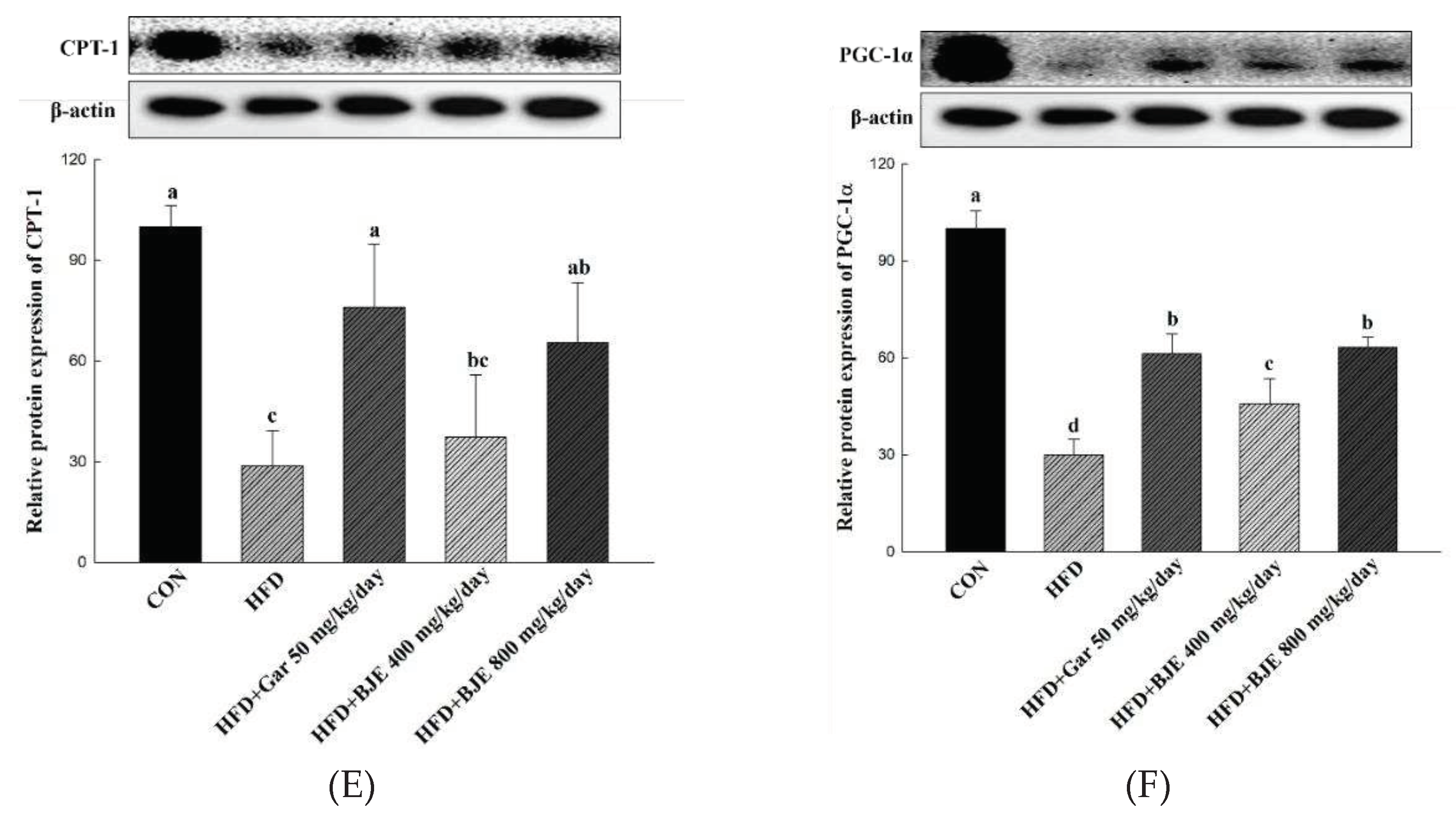 Preprints 97298 g005b