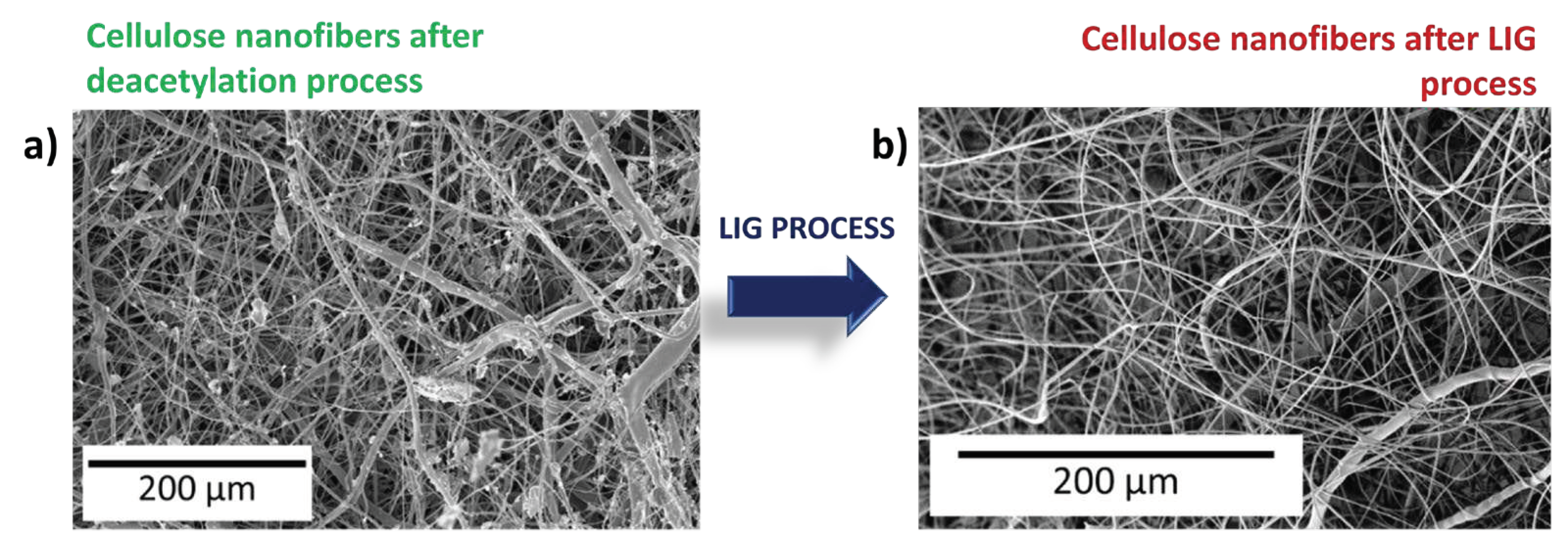 Preprints 86712 g001