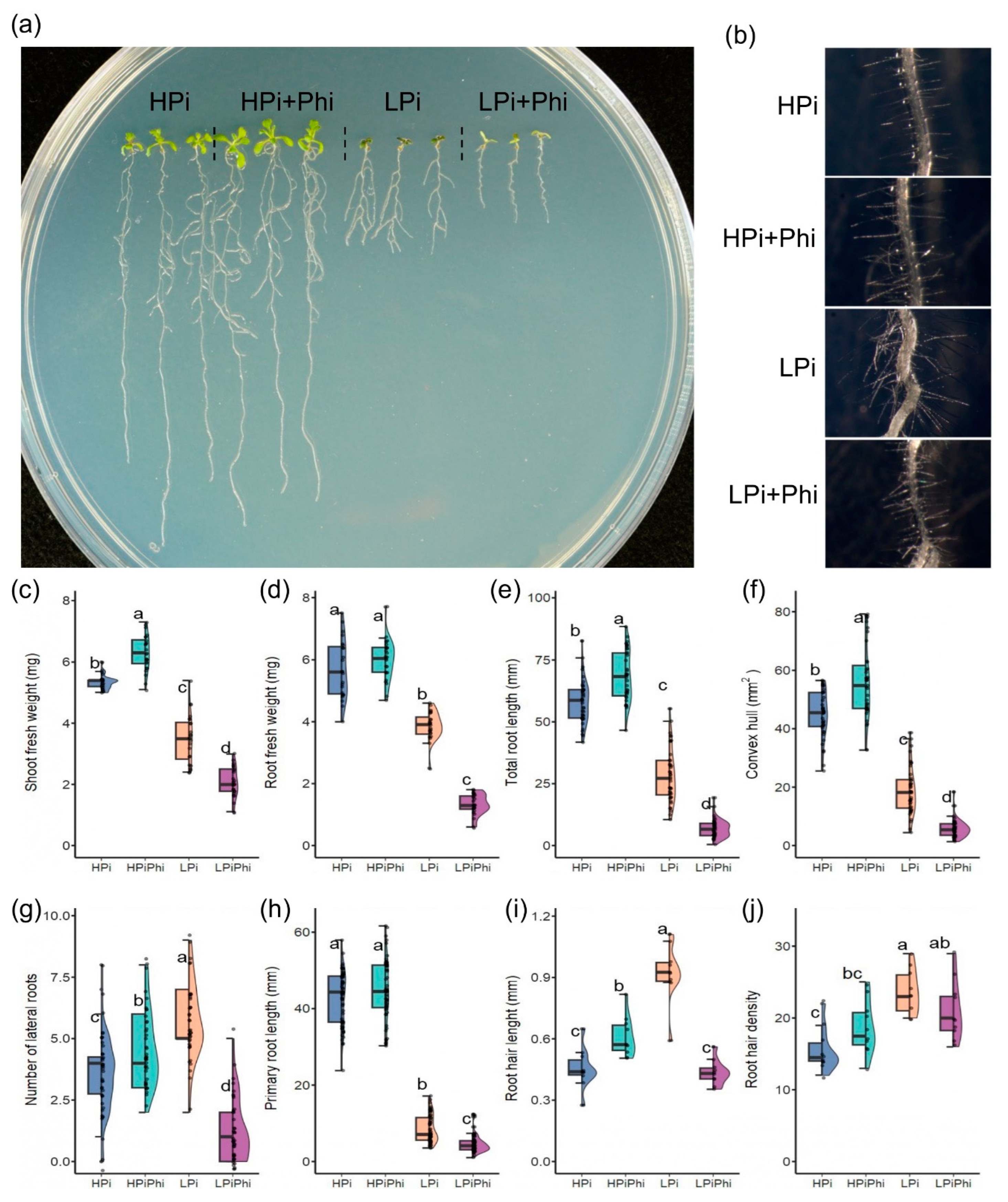 Preprints 107980 g001