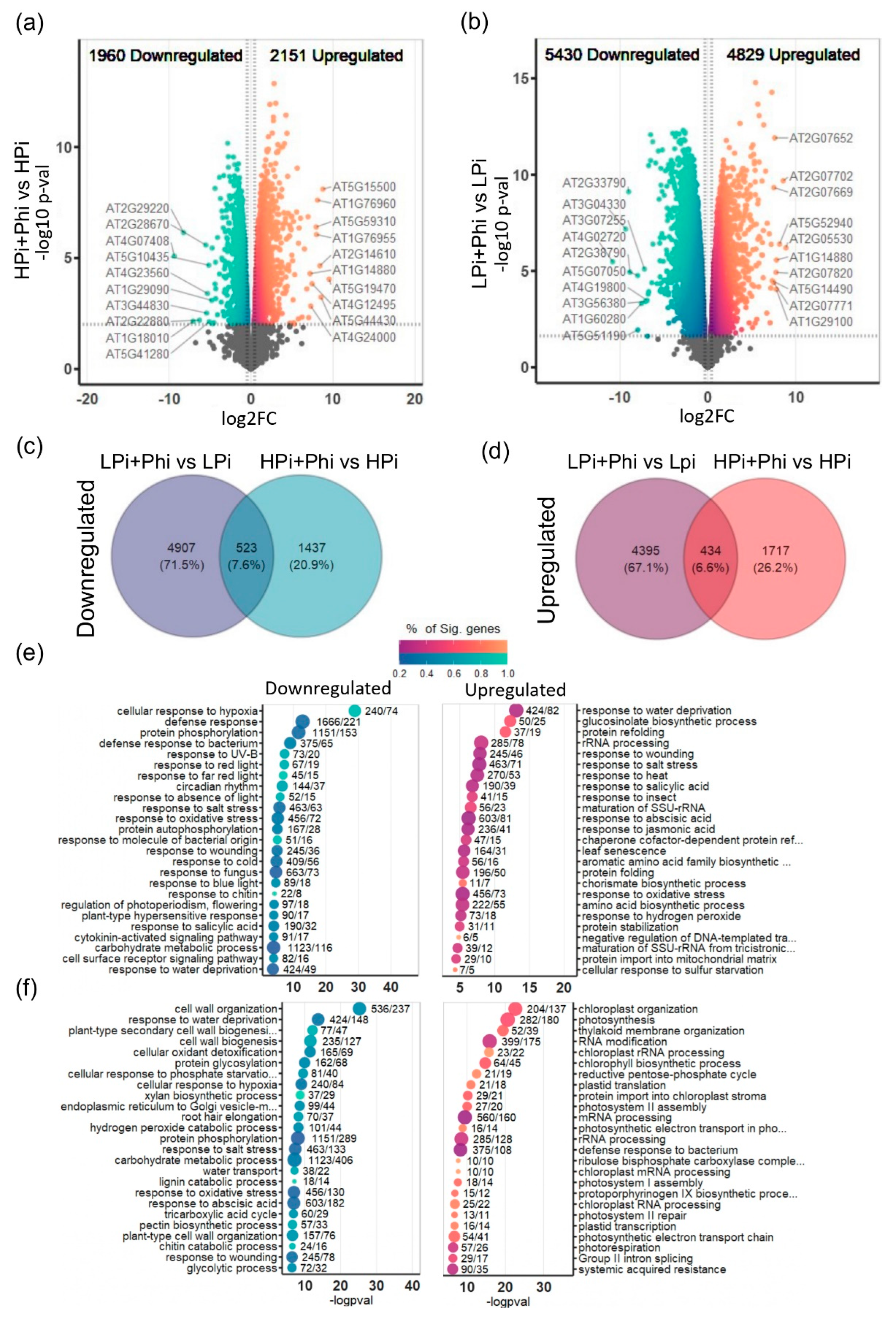 Preprints 107980 g002