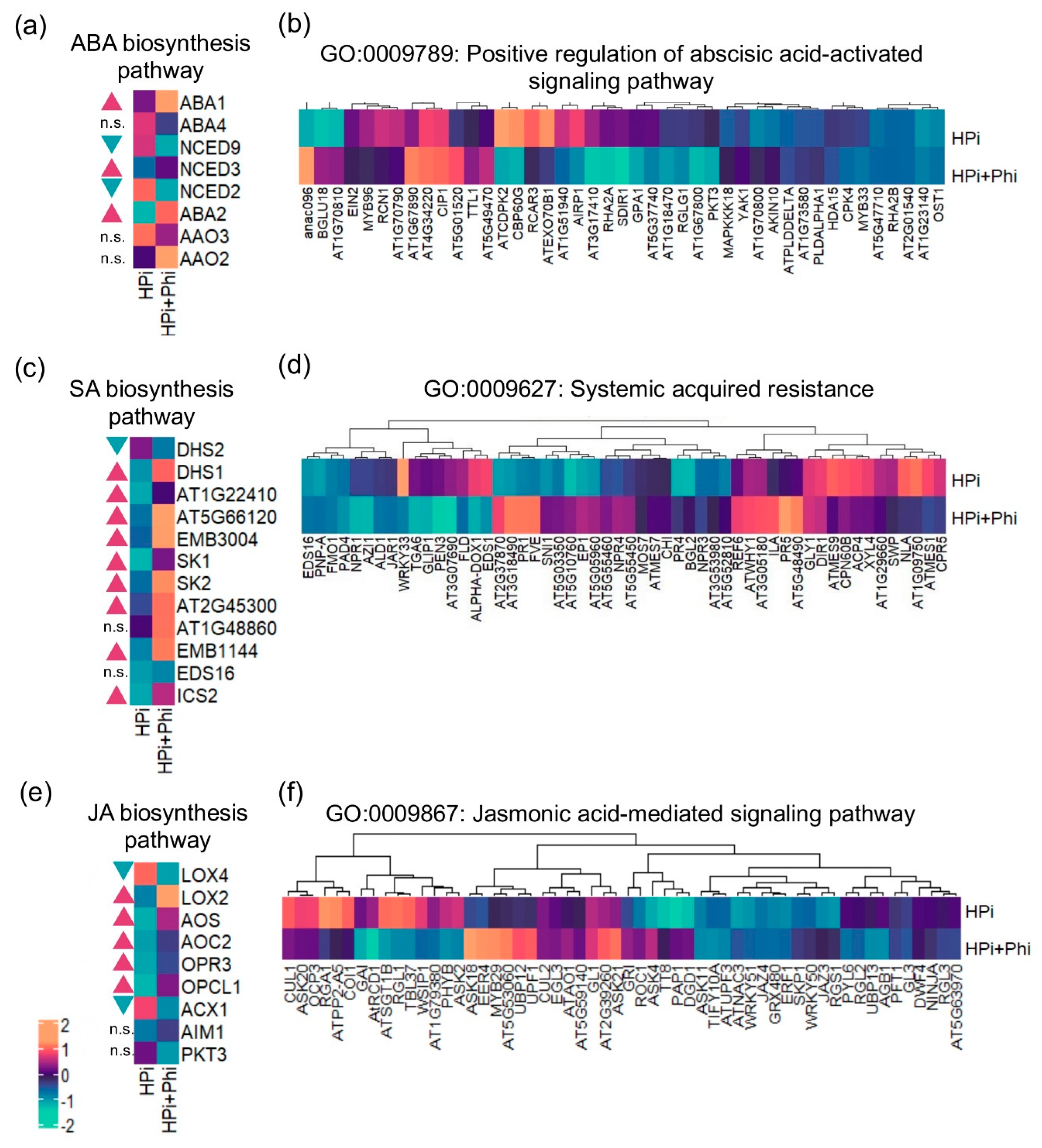 Preprints 107980 g003