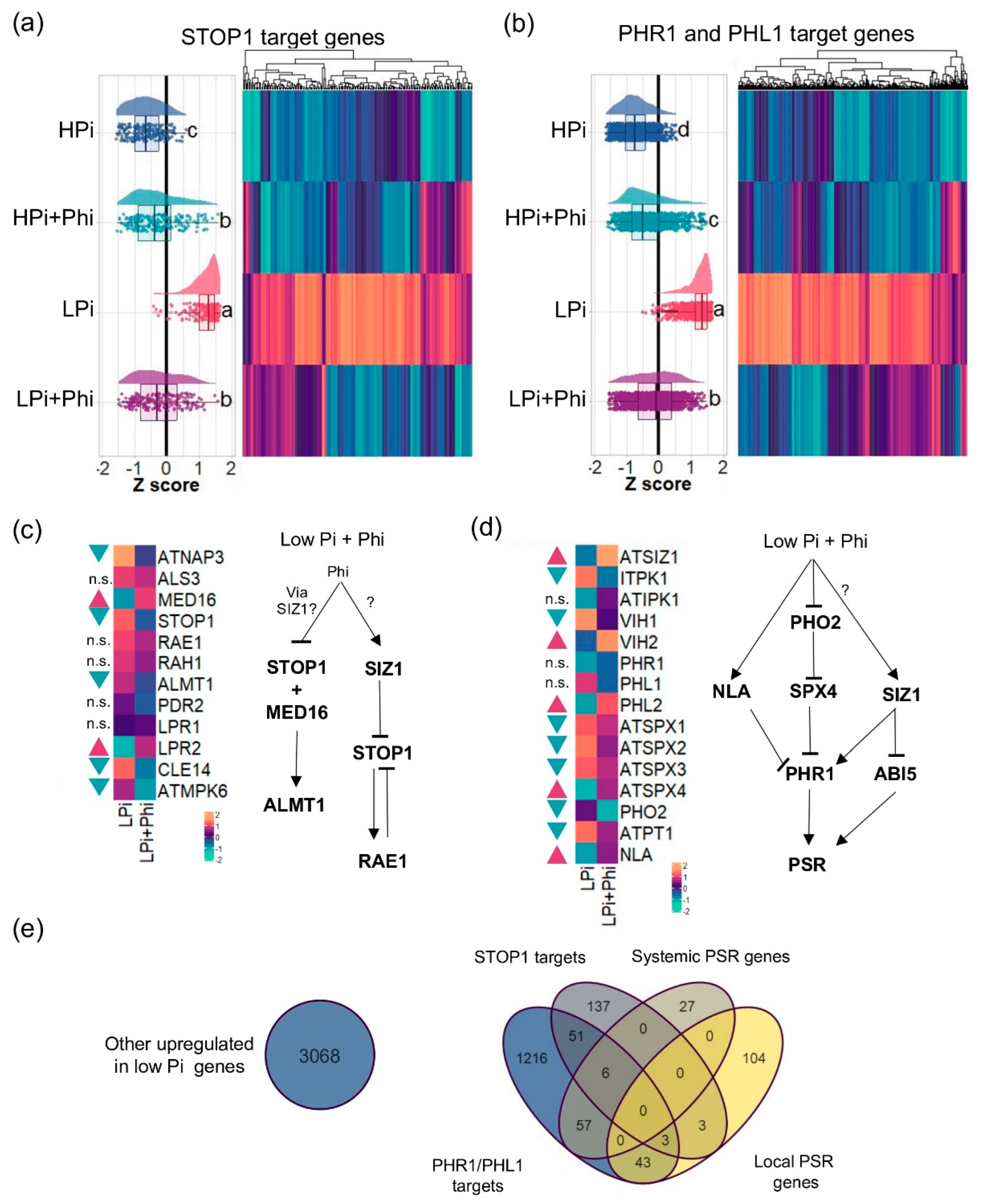 Preprints 107980 g005