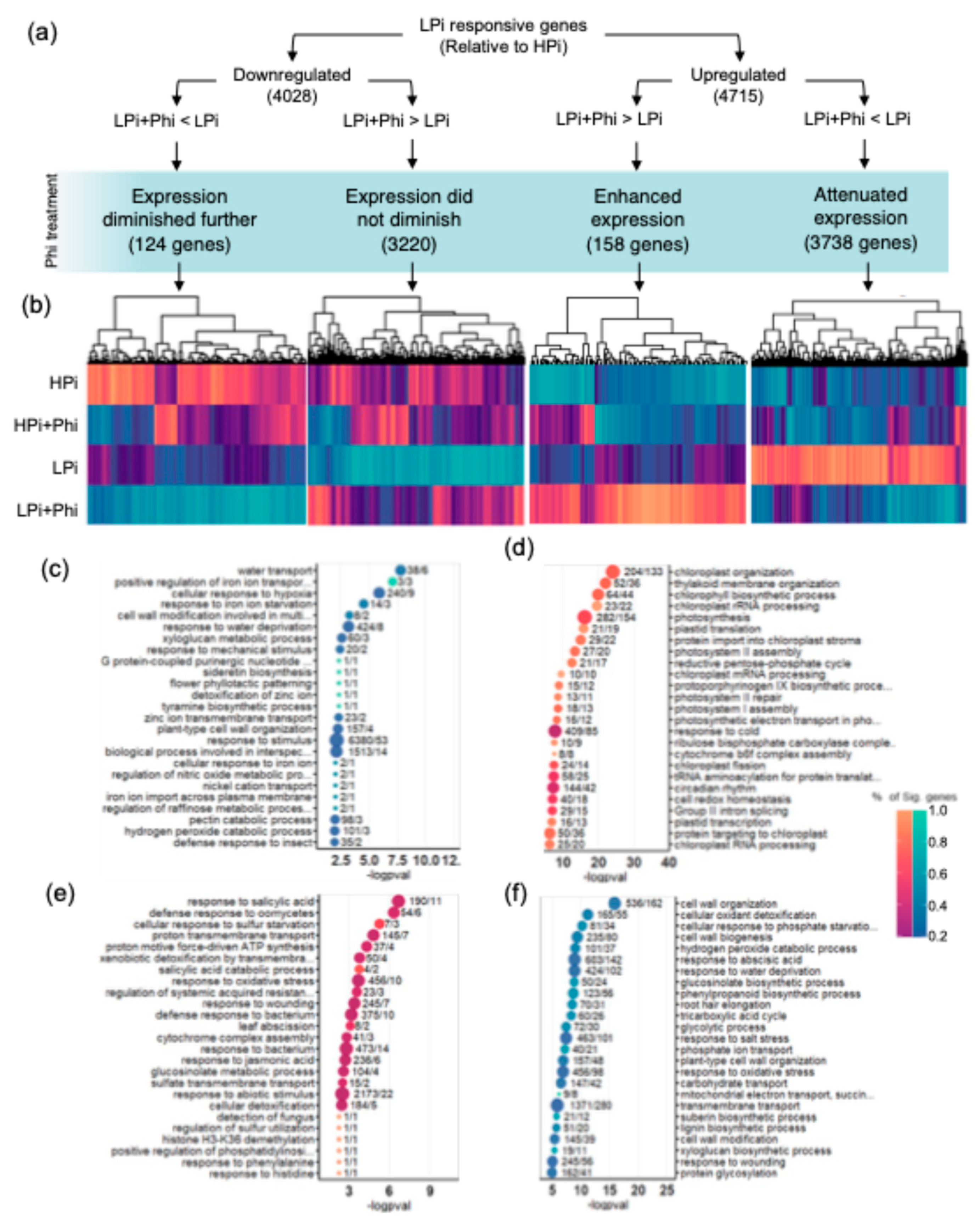 Preprints 107980 g006