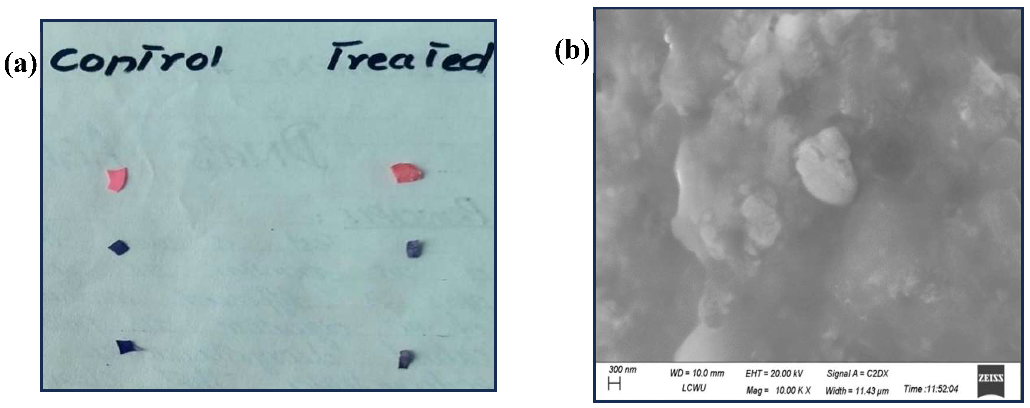 Preprints 121971 g005a