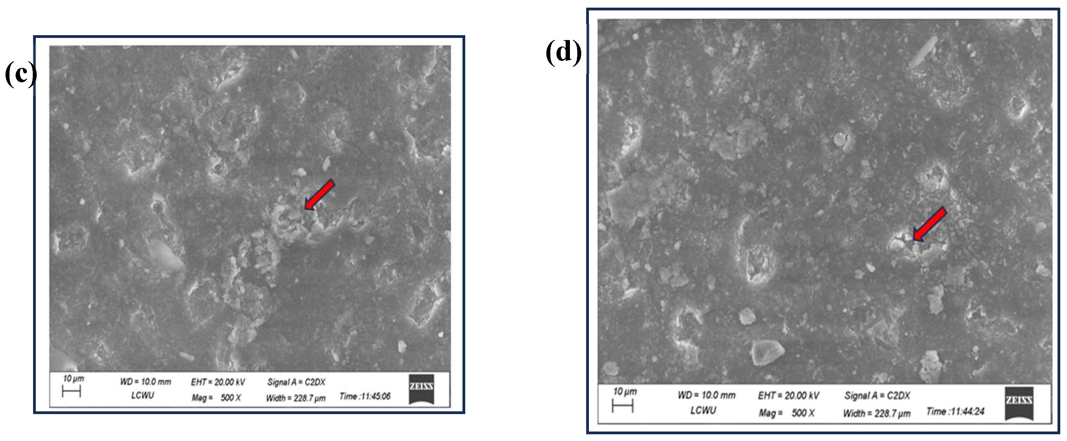 Preprints 121971 g005b