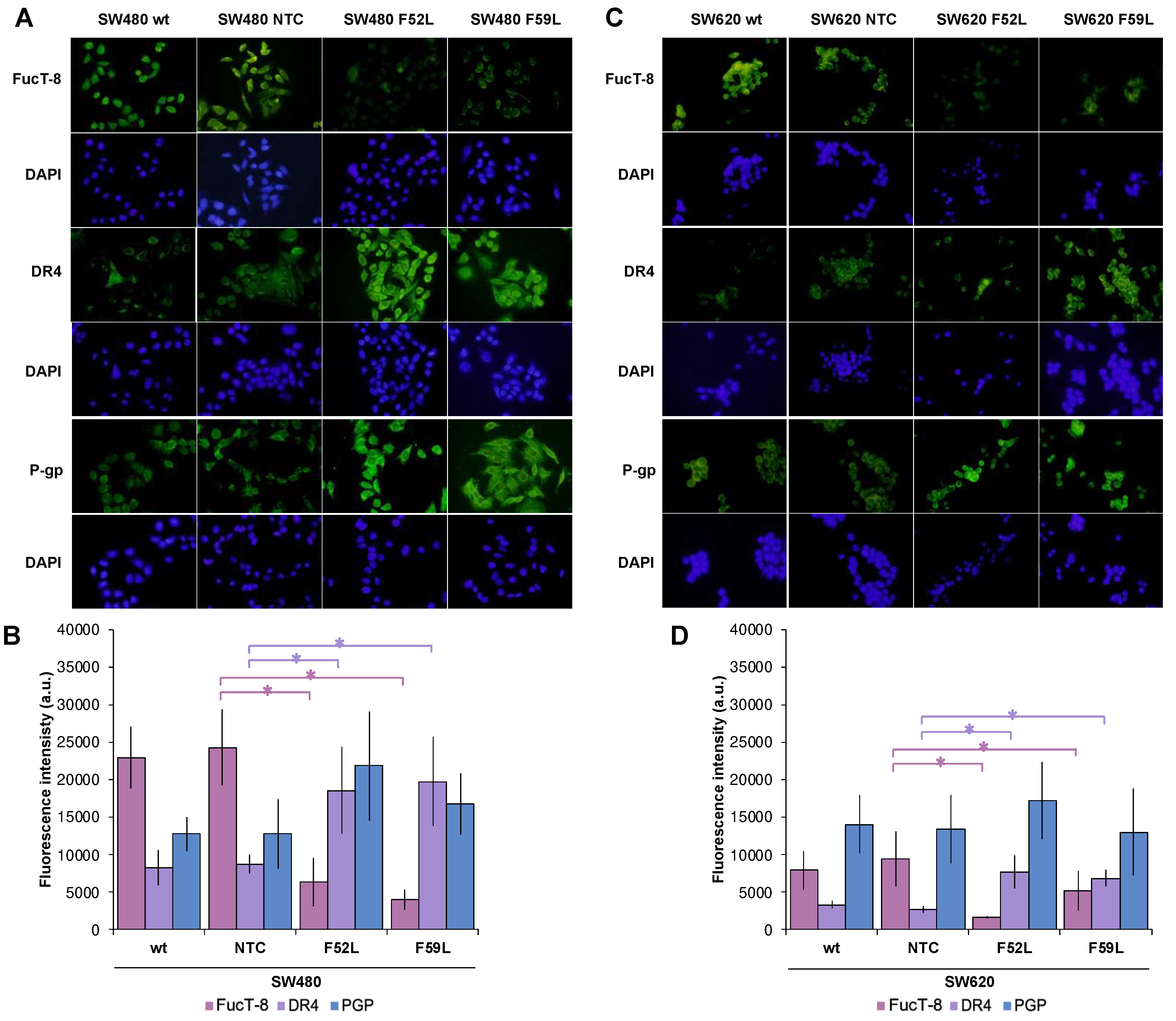 Preprints 77796 g003