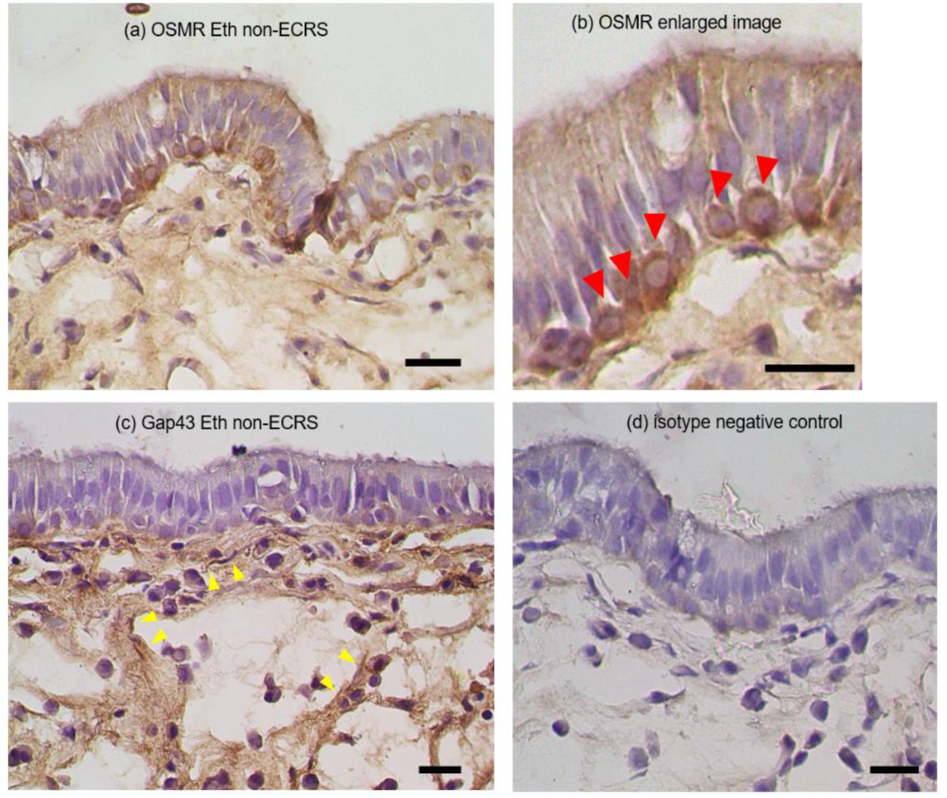 Preprints 87877 g004