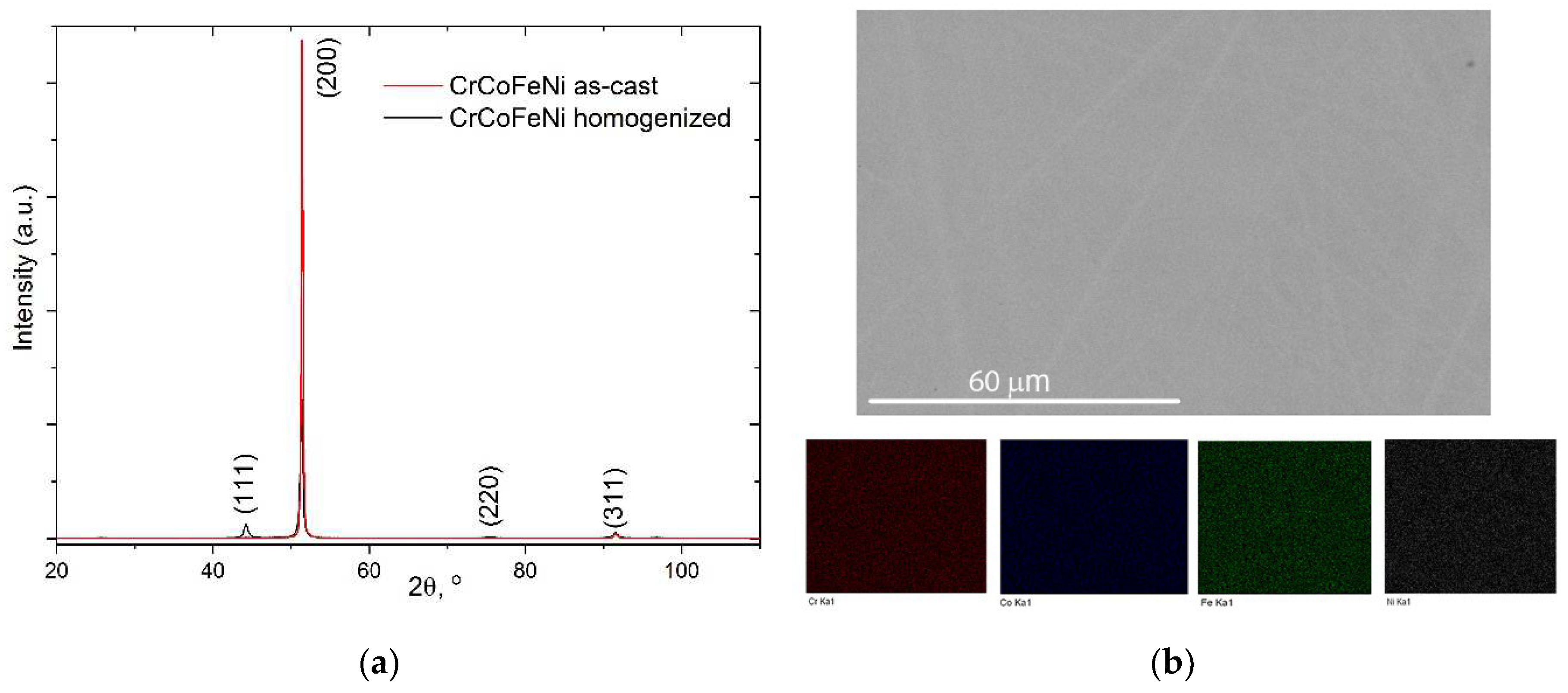 Preprints 87636 g001