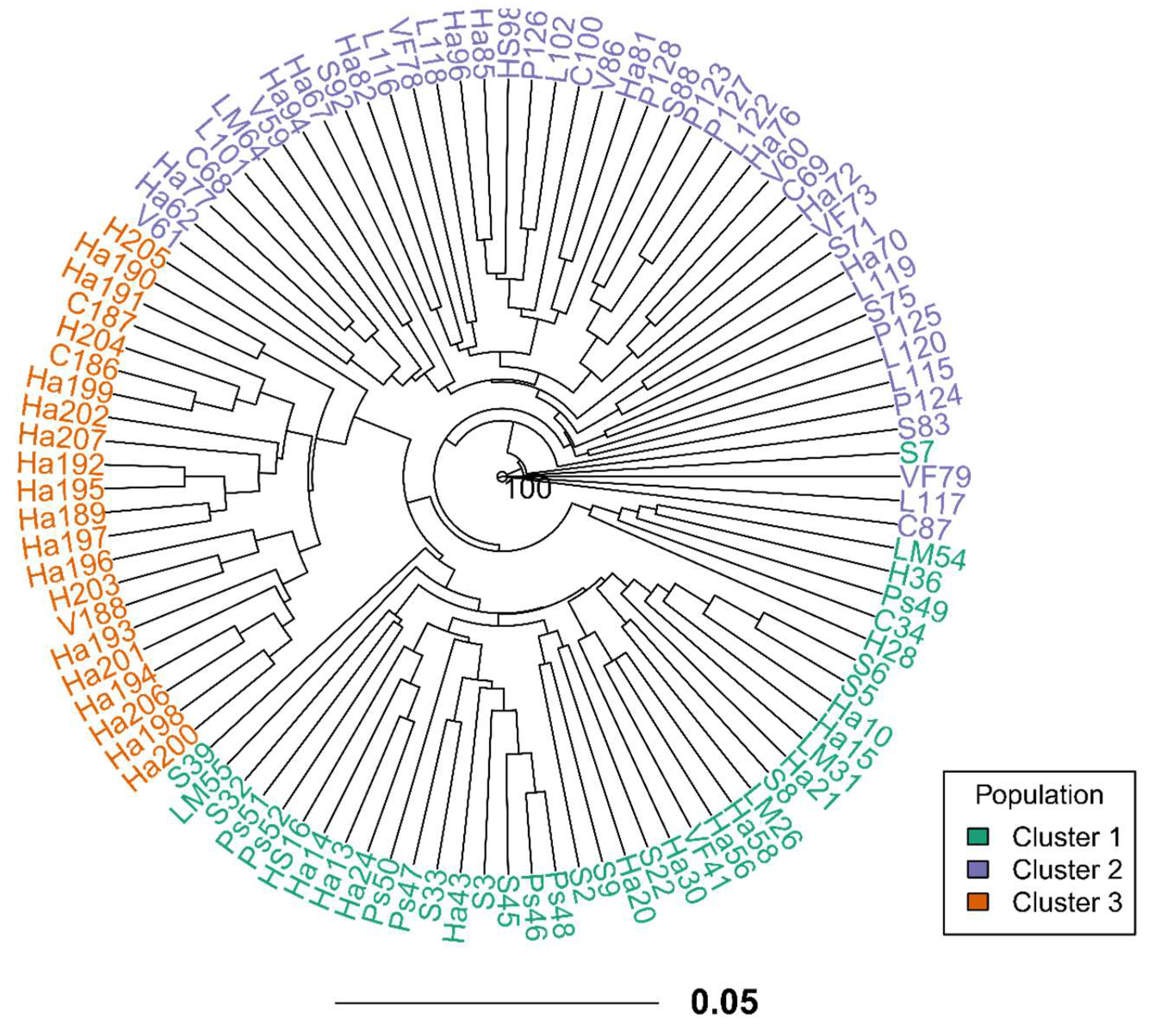 Preprints 118992 g002